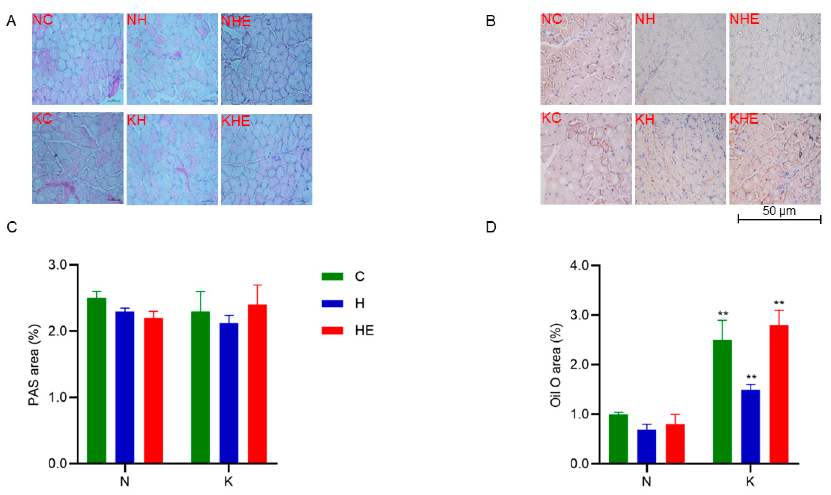 Metabolites 15 00270 g004