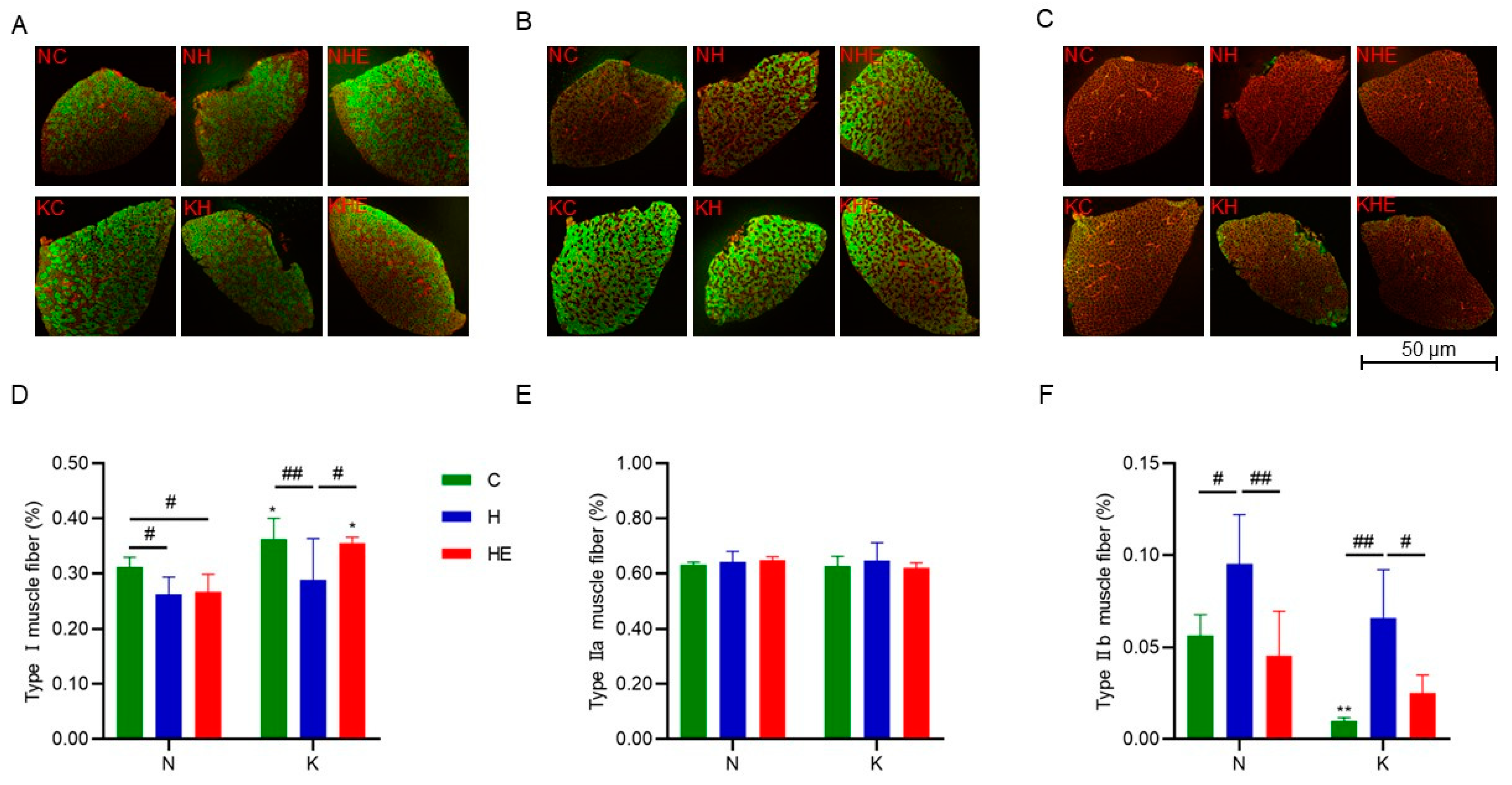 Metabolites 15 00270 g005