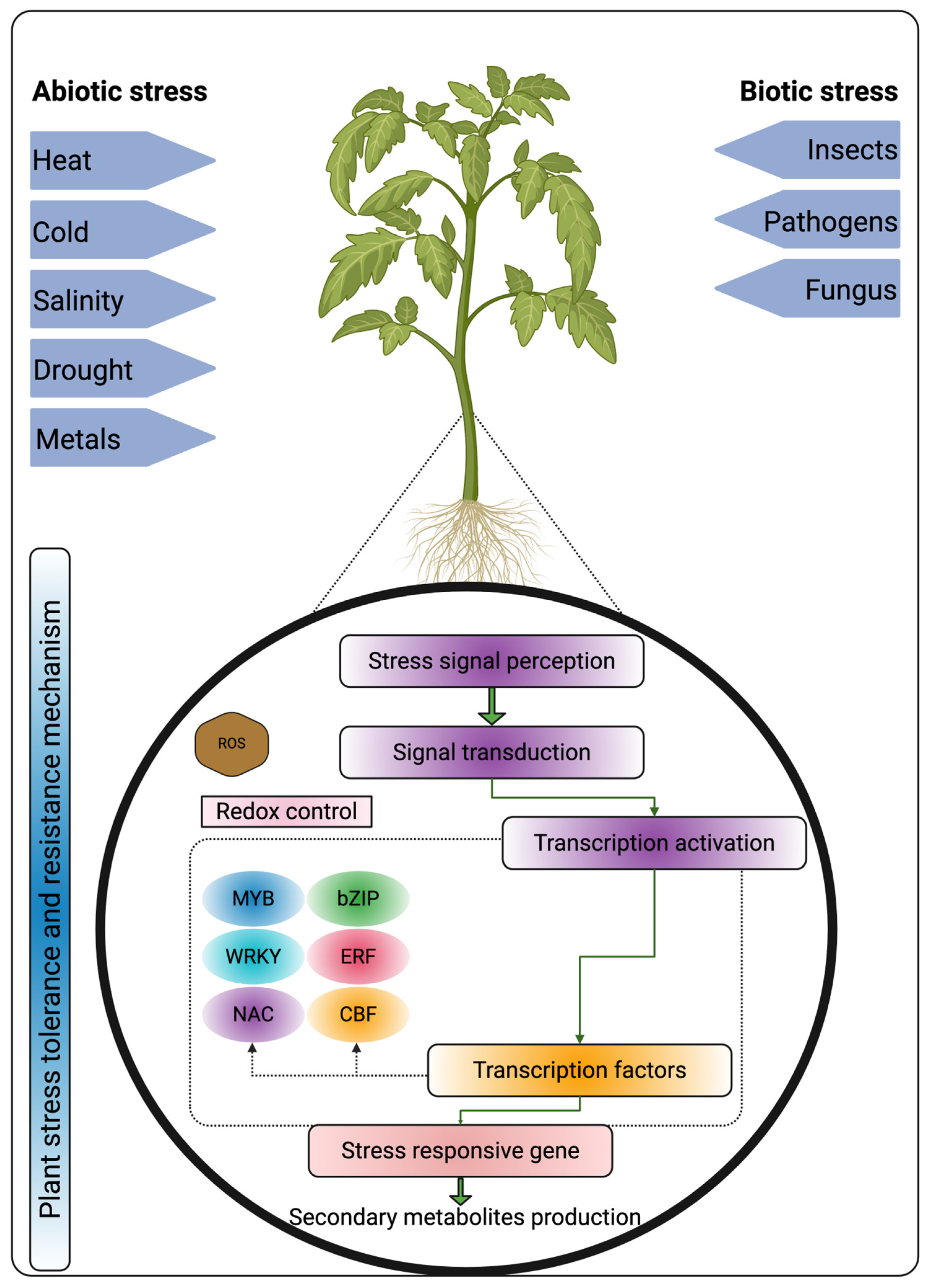 Metabolites 15 00276 g002