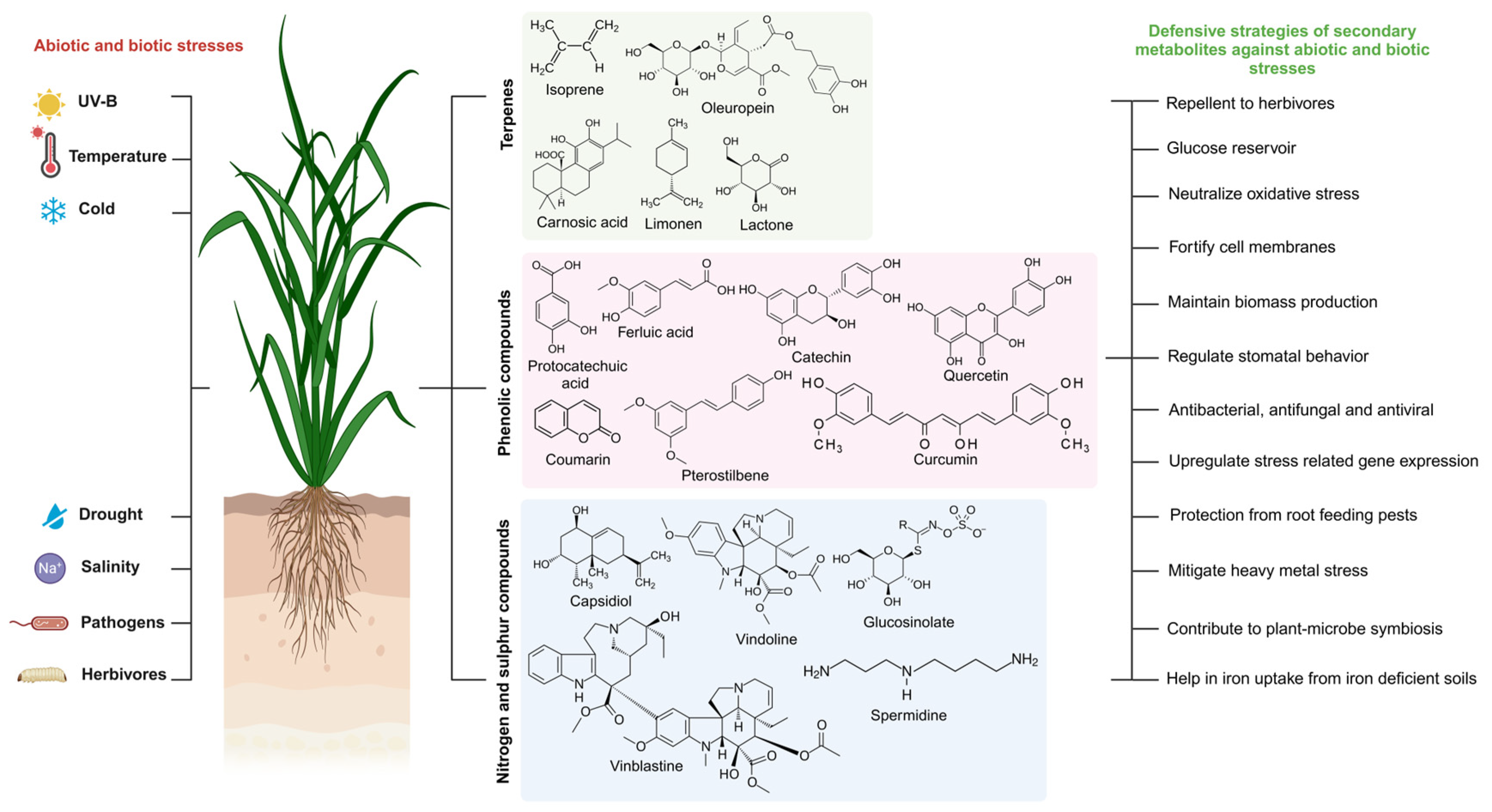Metabolites 15 00276 g003