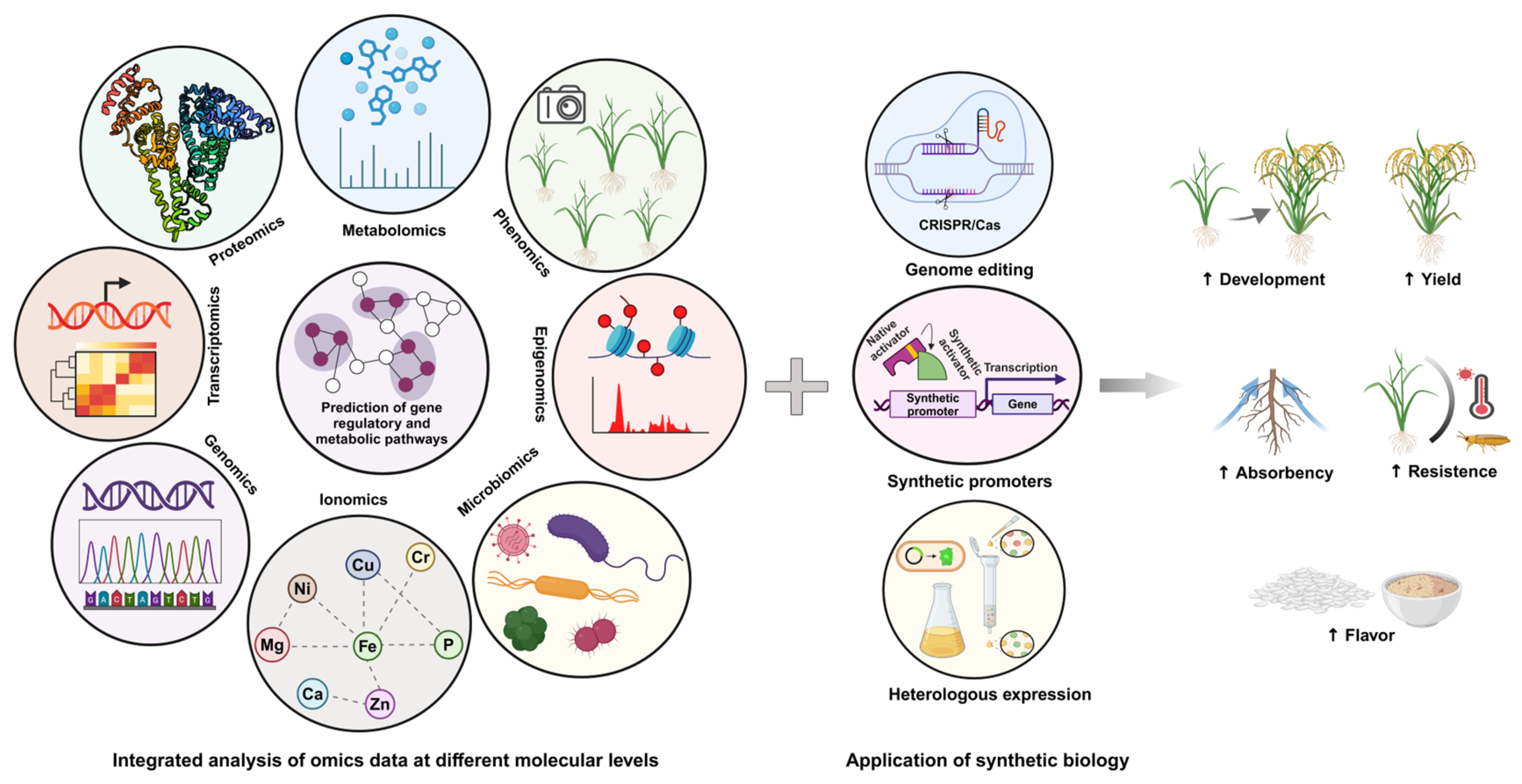 Metabolites 15 00276 g004