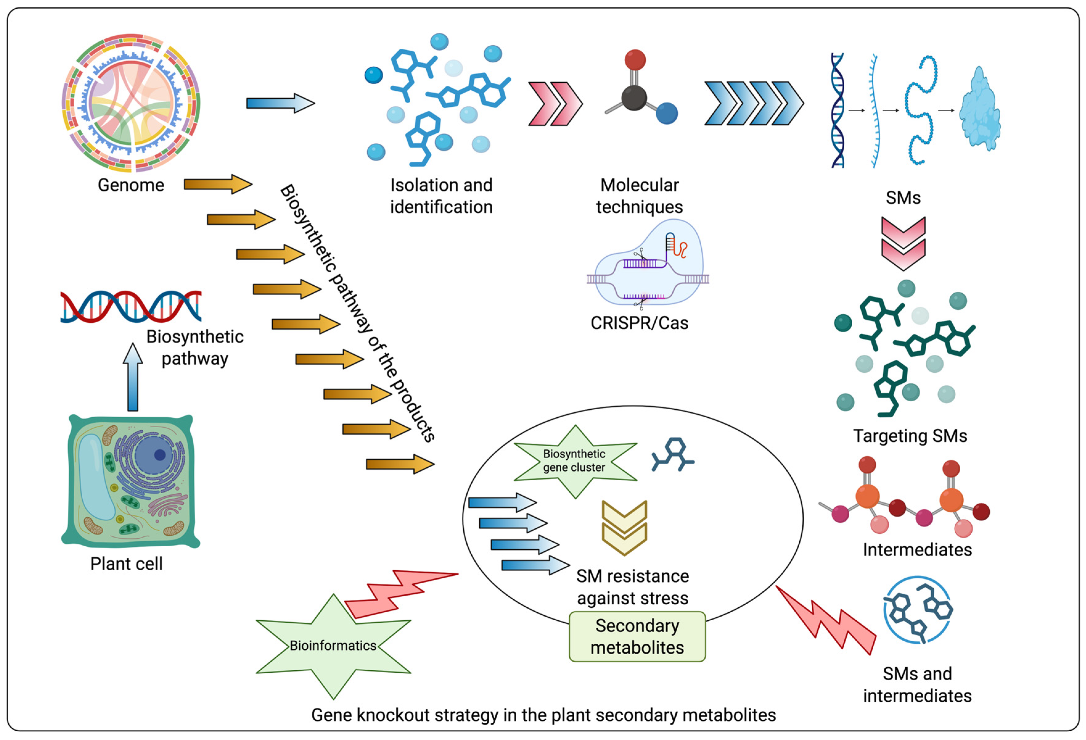 Metabolites 15 00276 g005