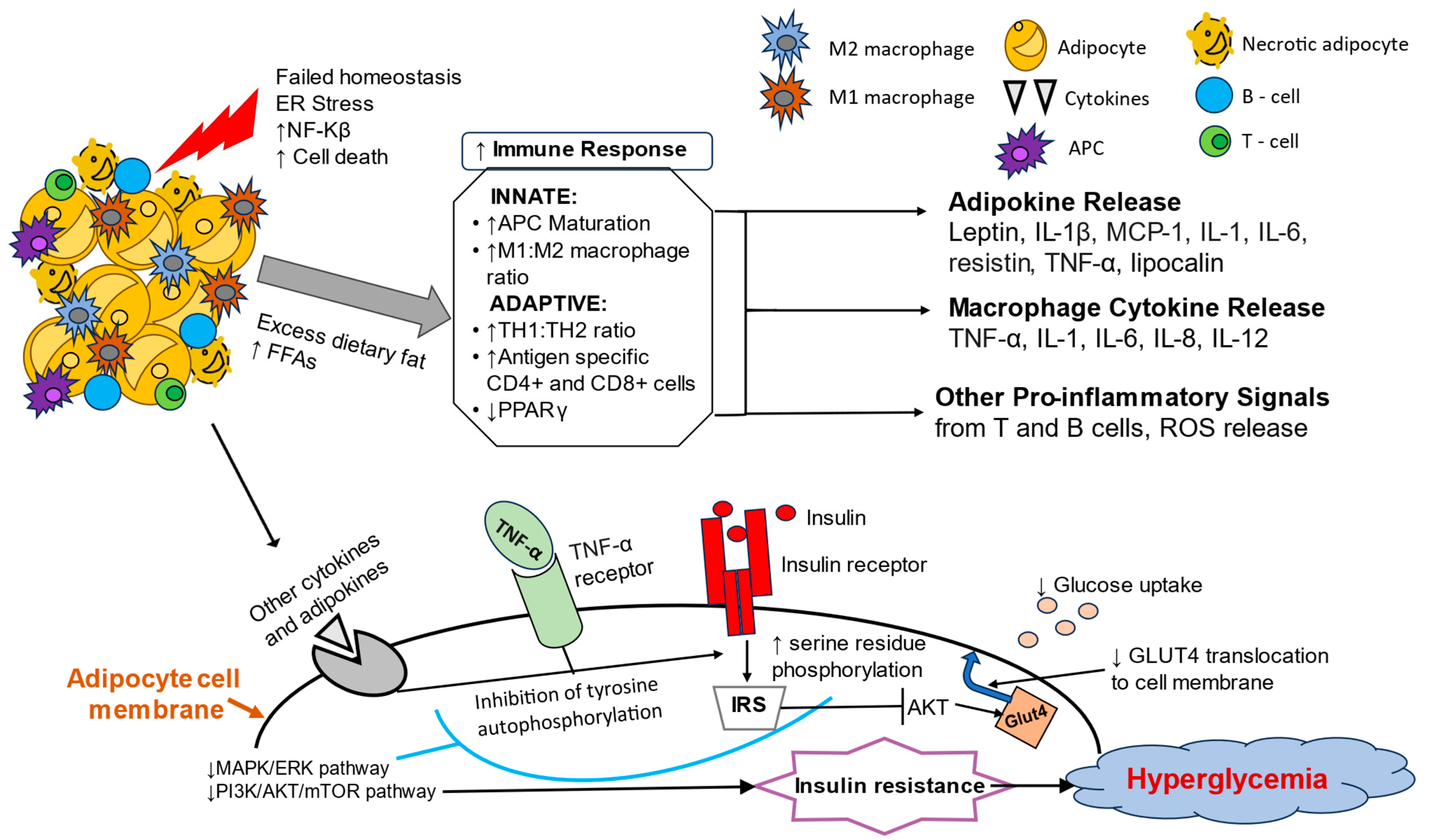 Metabolites 15 00287 g001