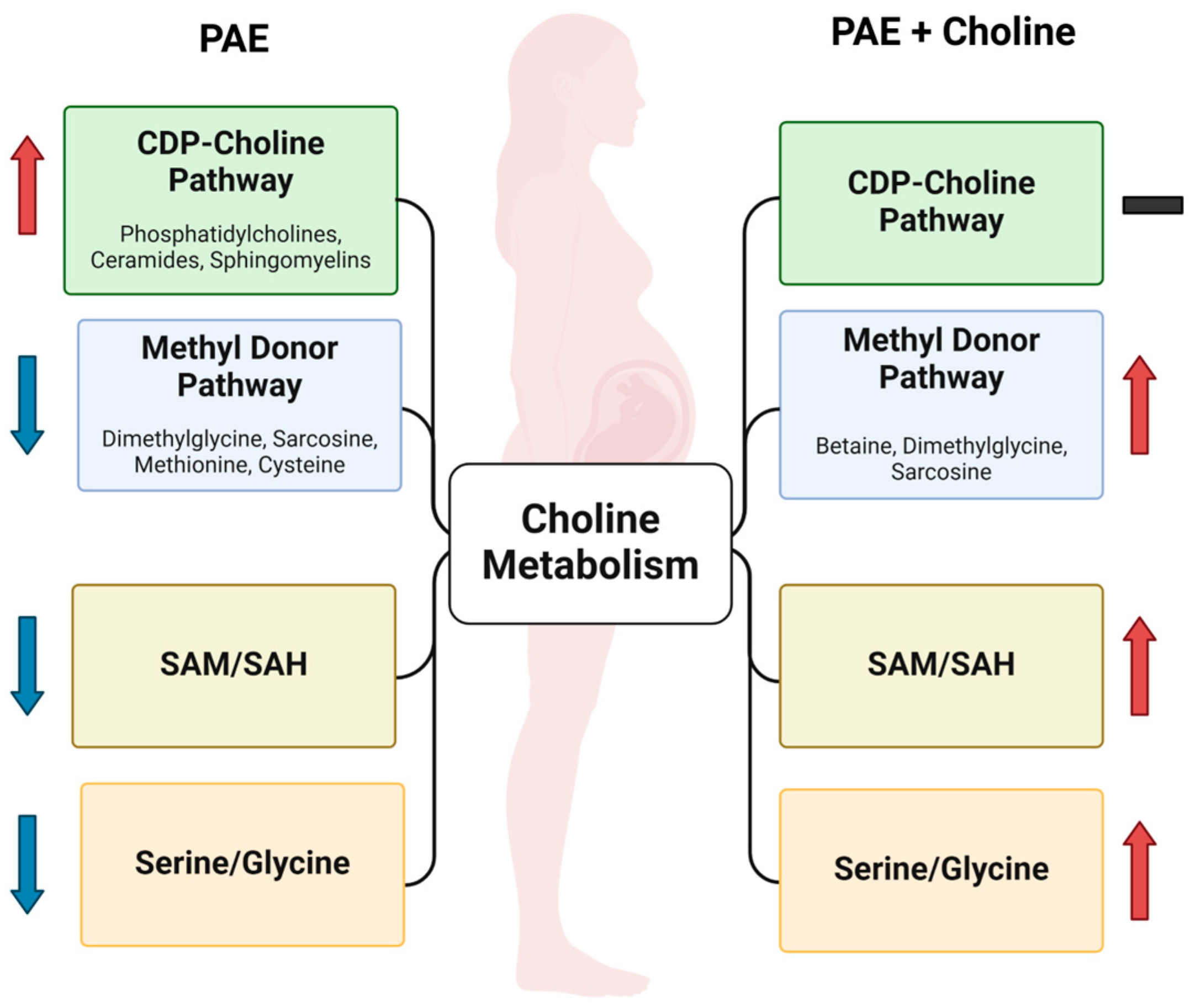 Metabolites 15 00289 g002