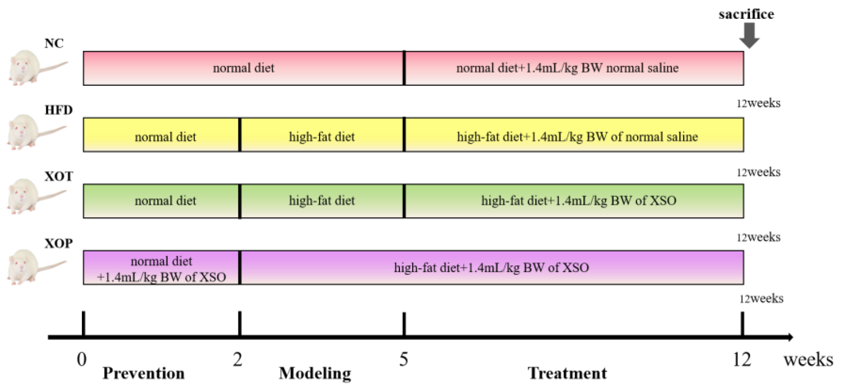 Metabolites 15 00291 g001 Metabolites 15 00291 g001