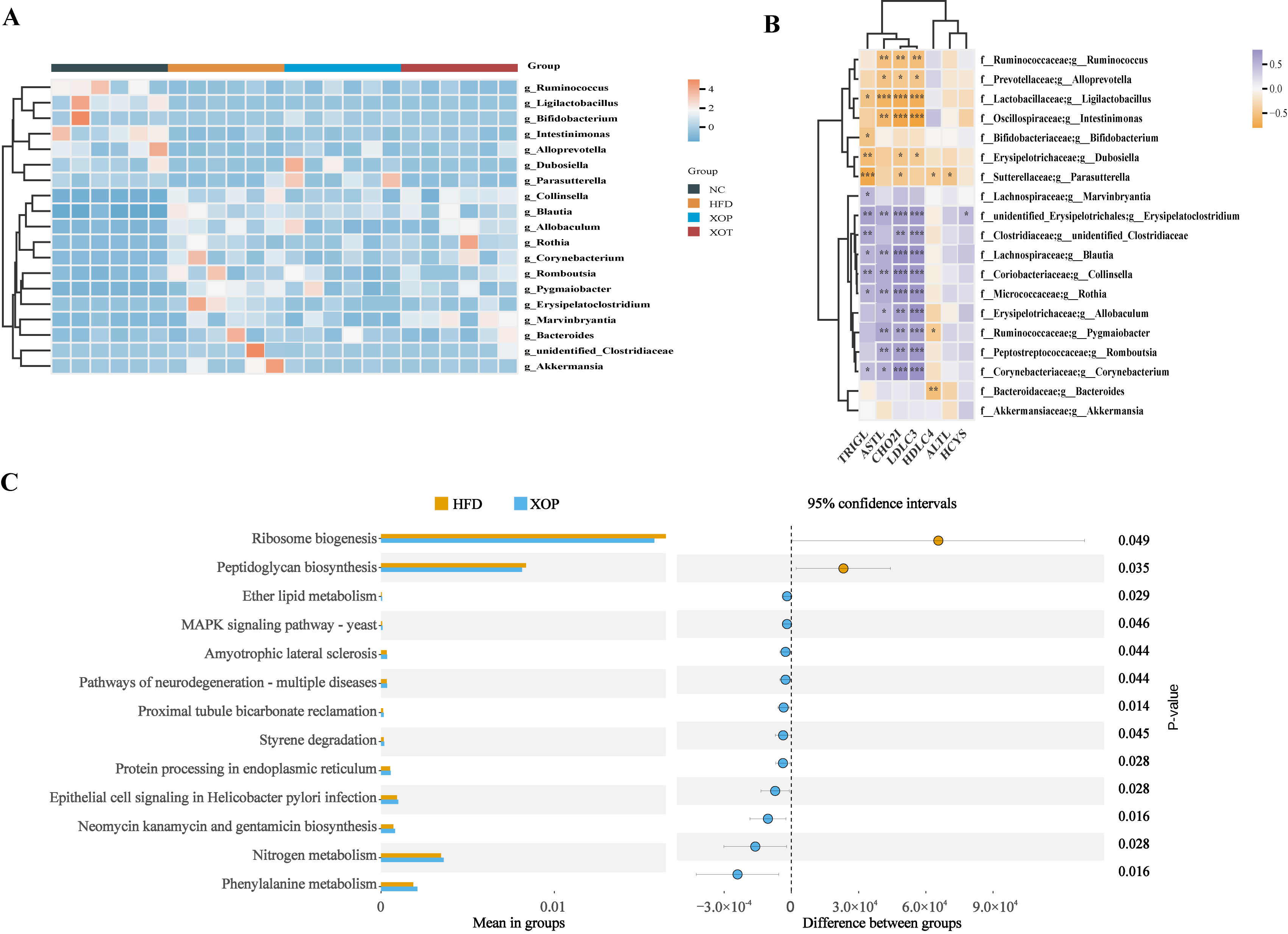 Metabolites 15 00291 g008 Metabolites 15 00291 g008