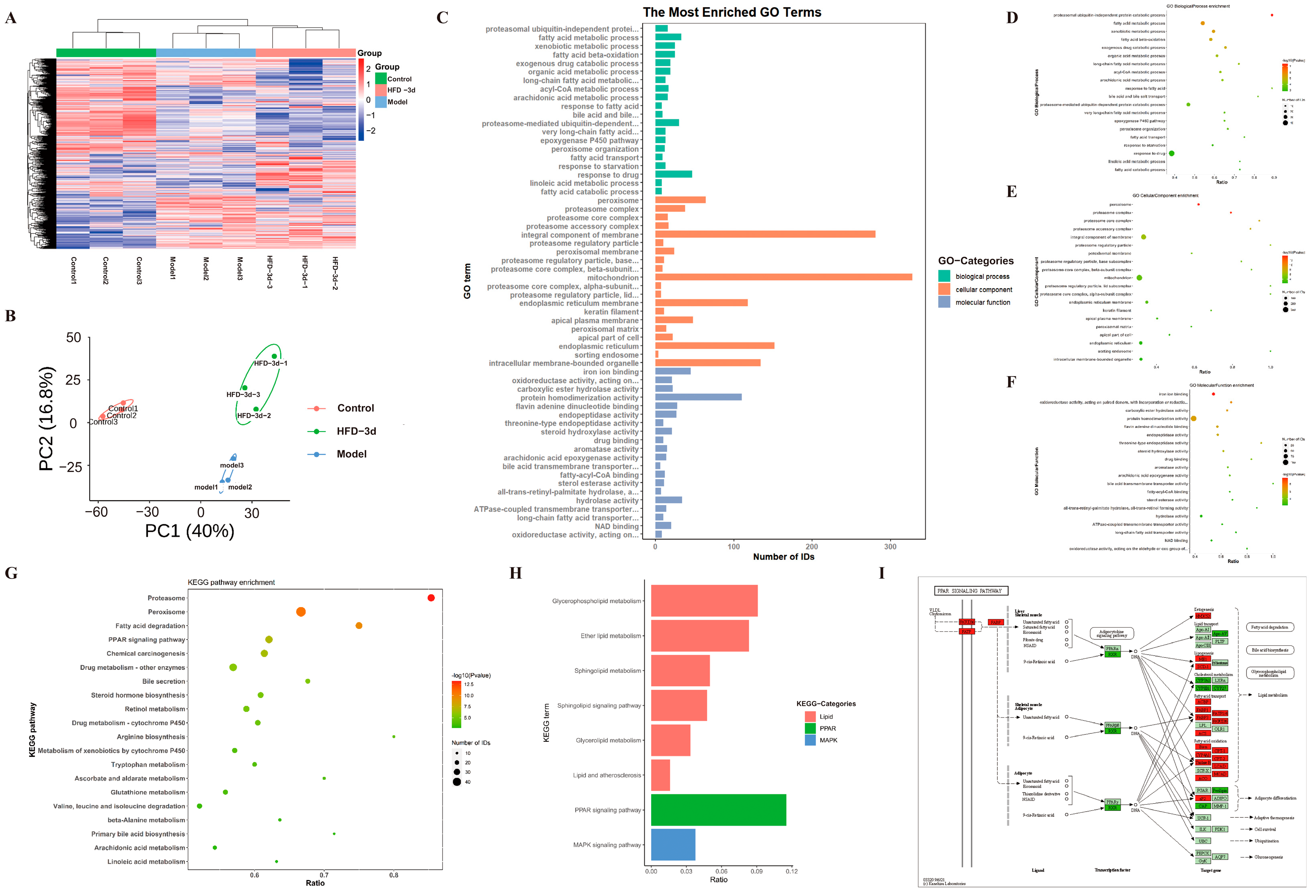 Metabolites 15 00296 g005