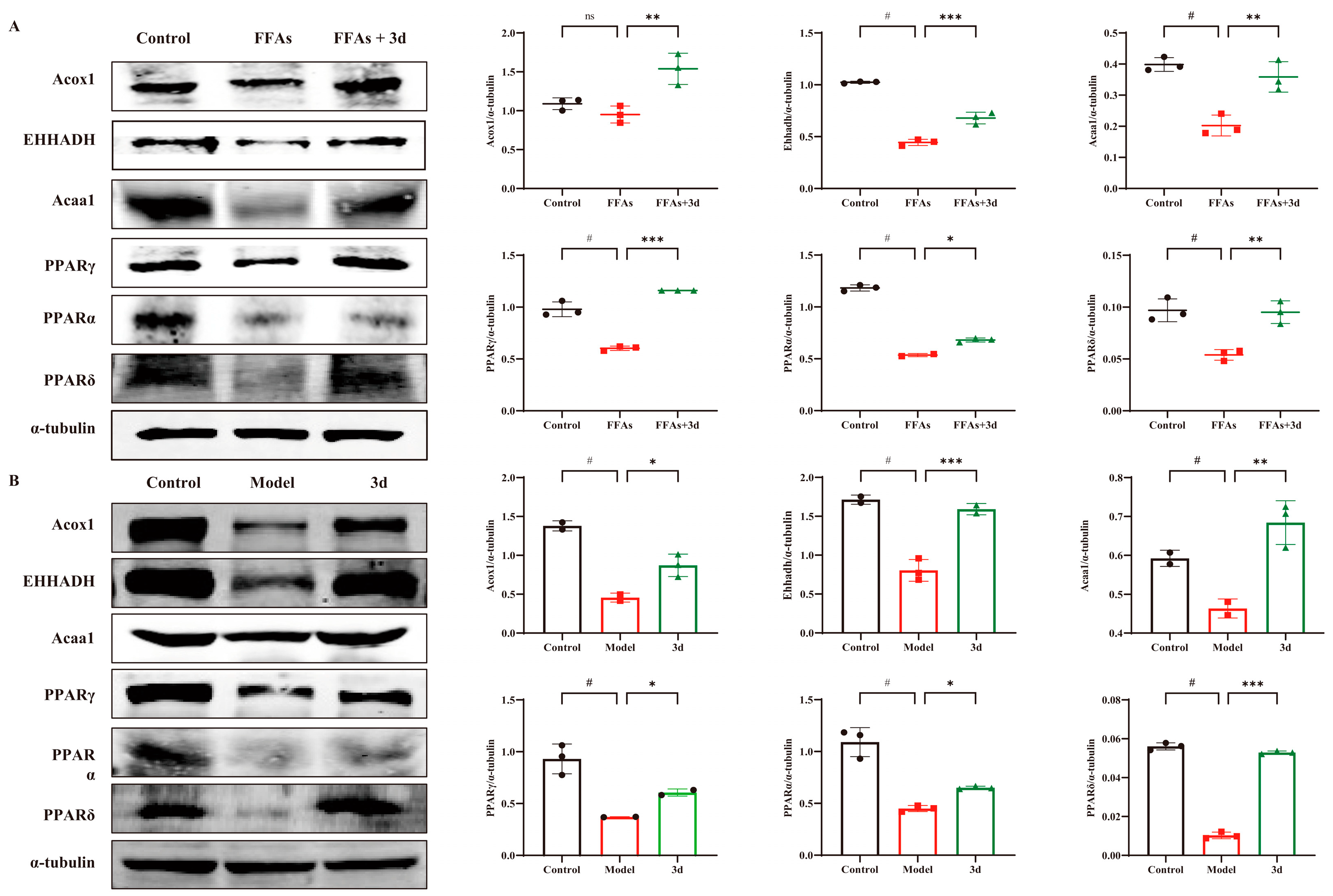 Metabolites 15 00296 g006