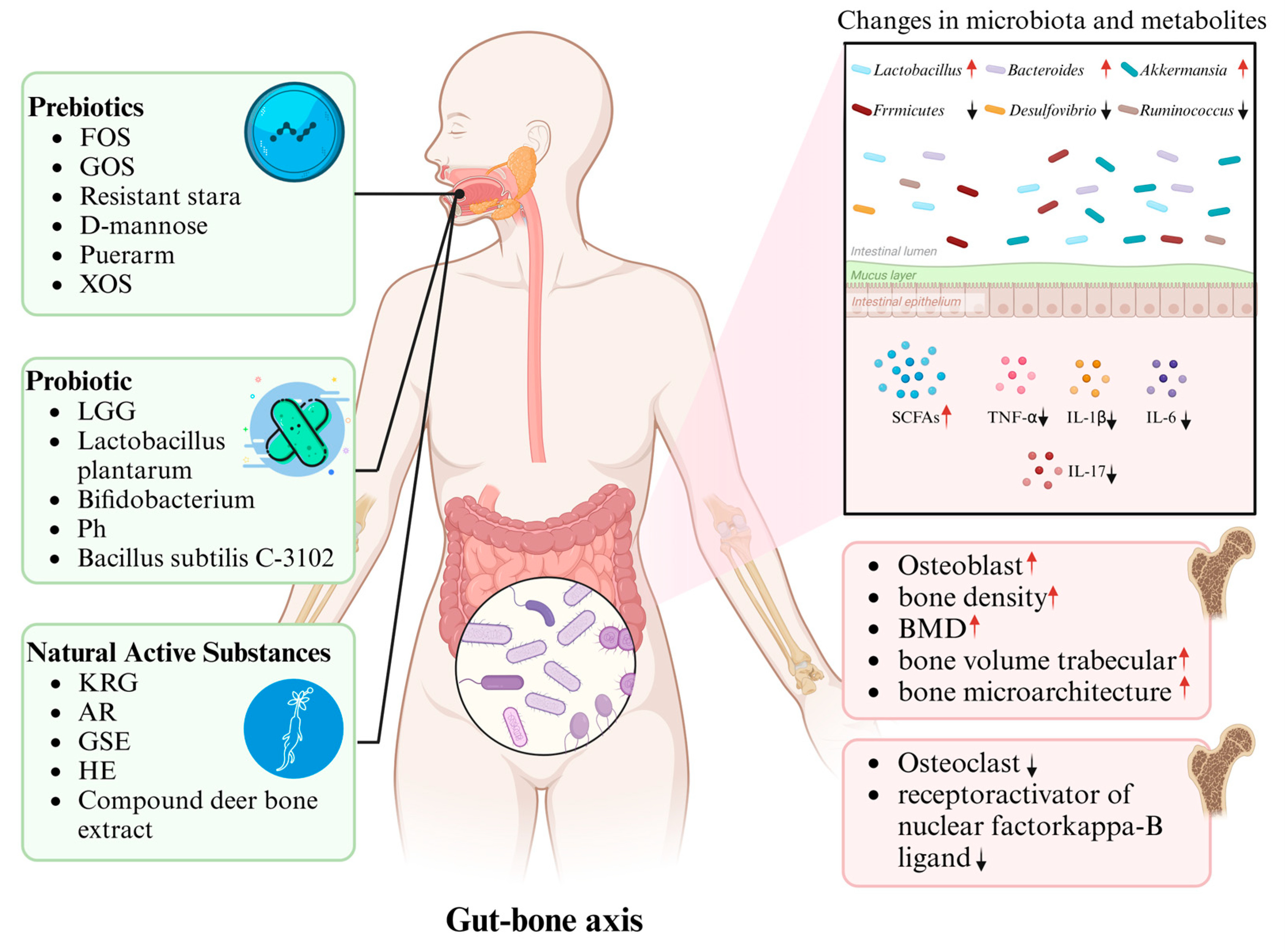 Metabolites 15 00301 g002