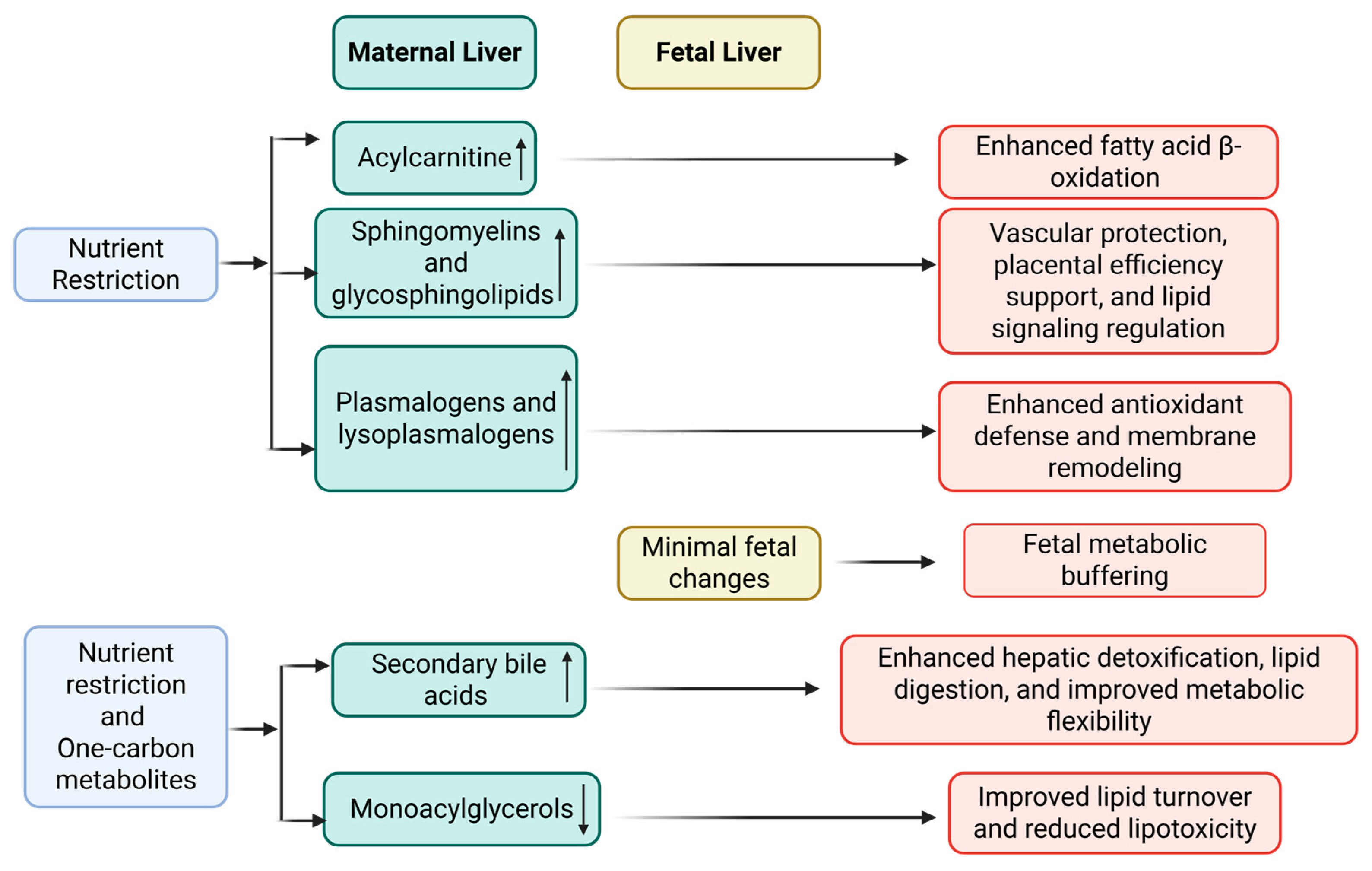 Metabolites 15 00302 g002