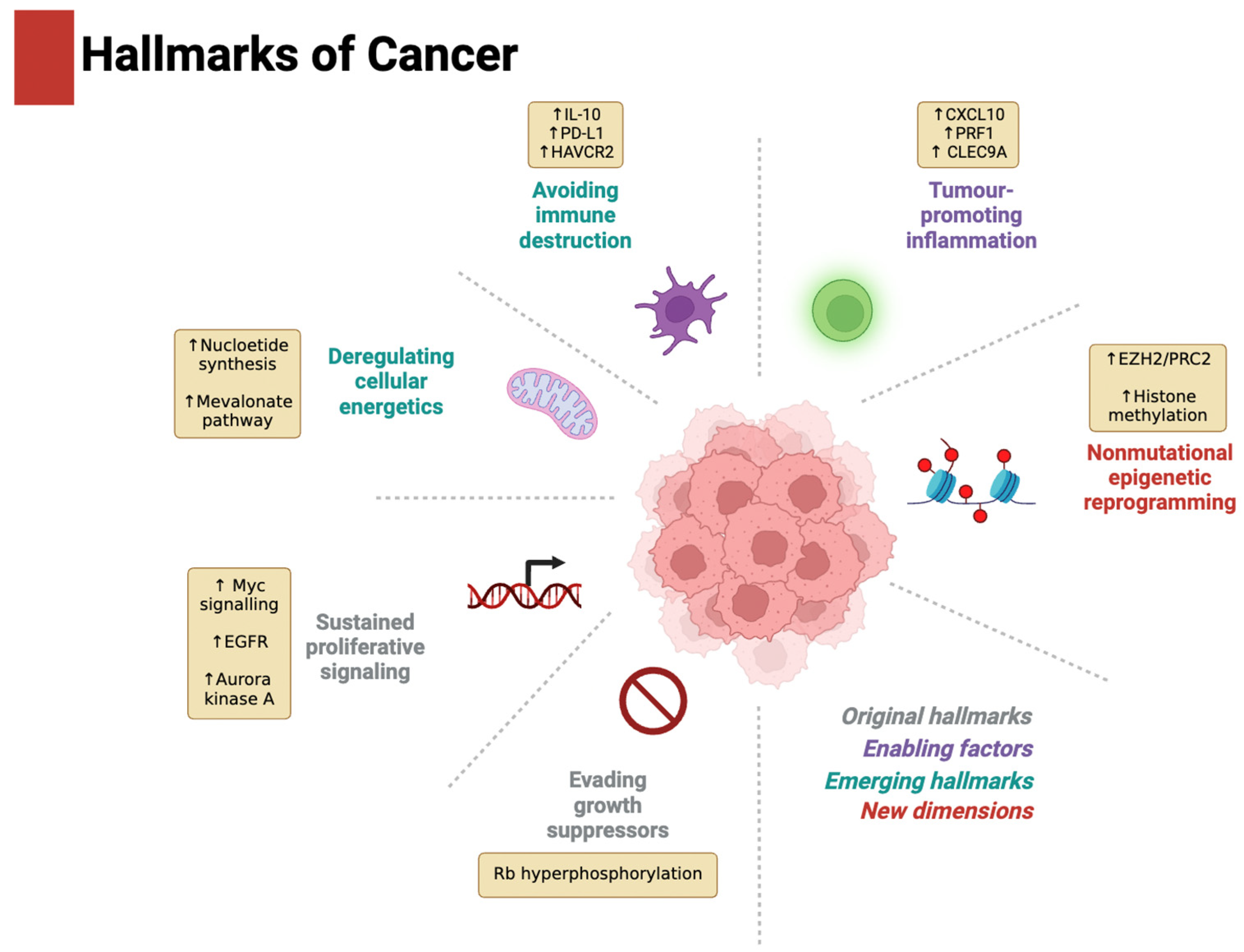 Metabolites 15 00304 g002