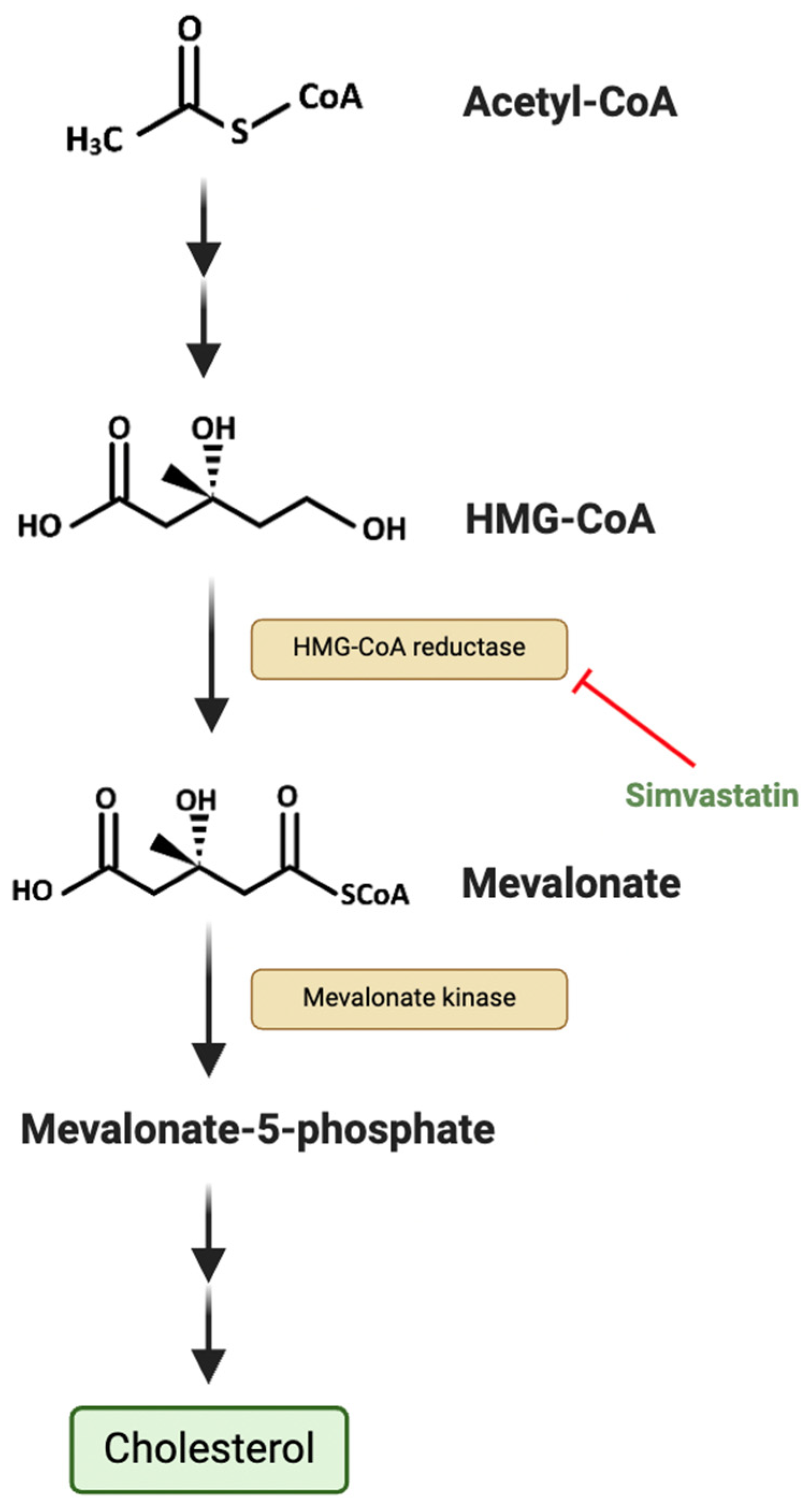 Metabolites 15 00304 g003