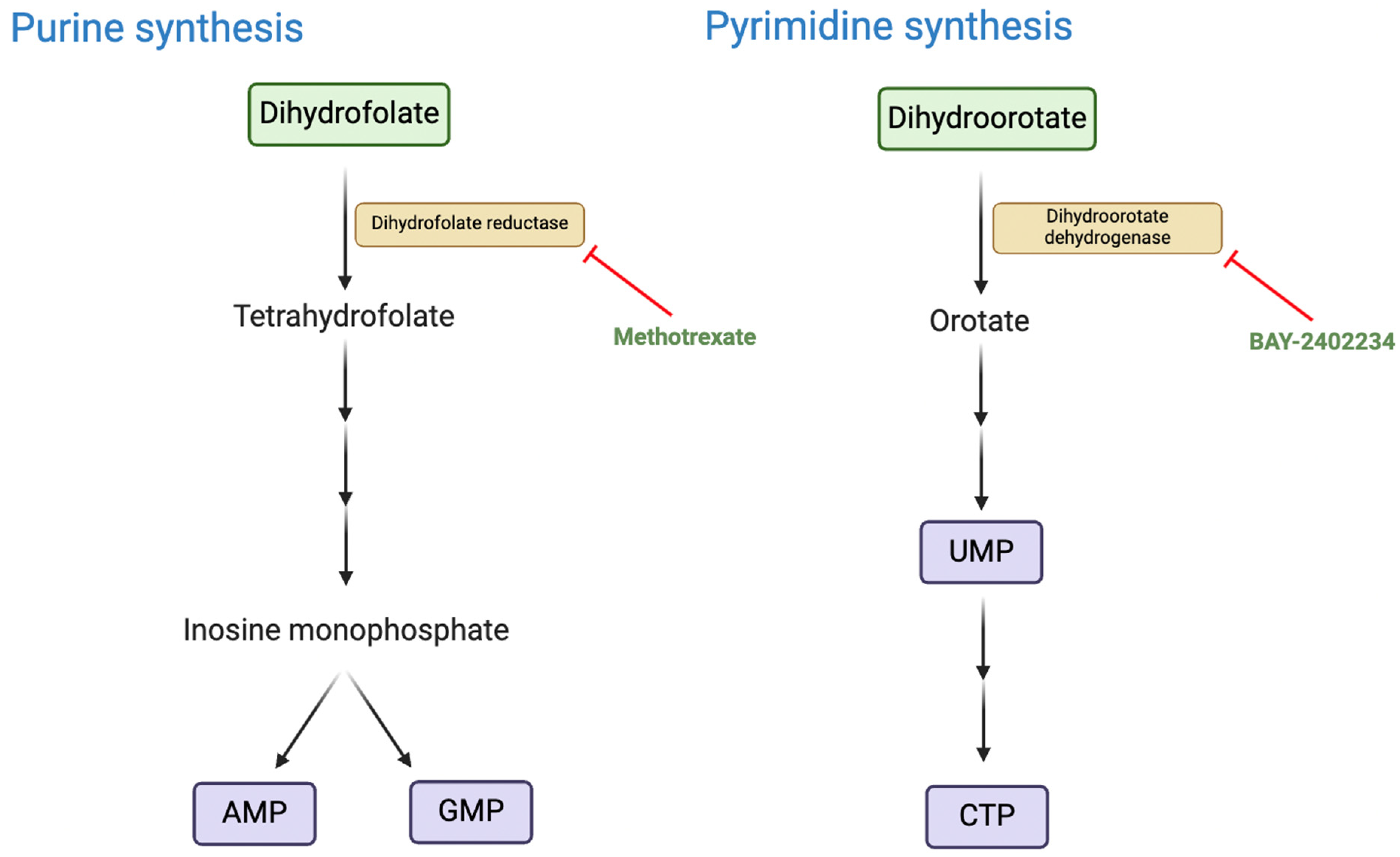 Metabolites 15 00304 g004