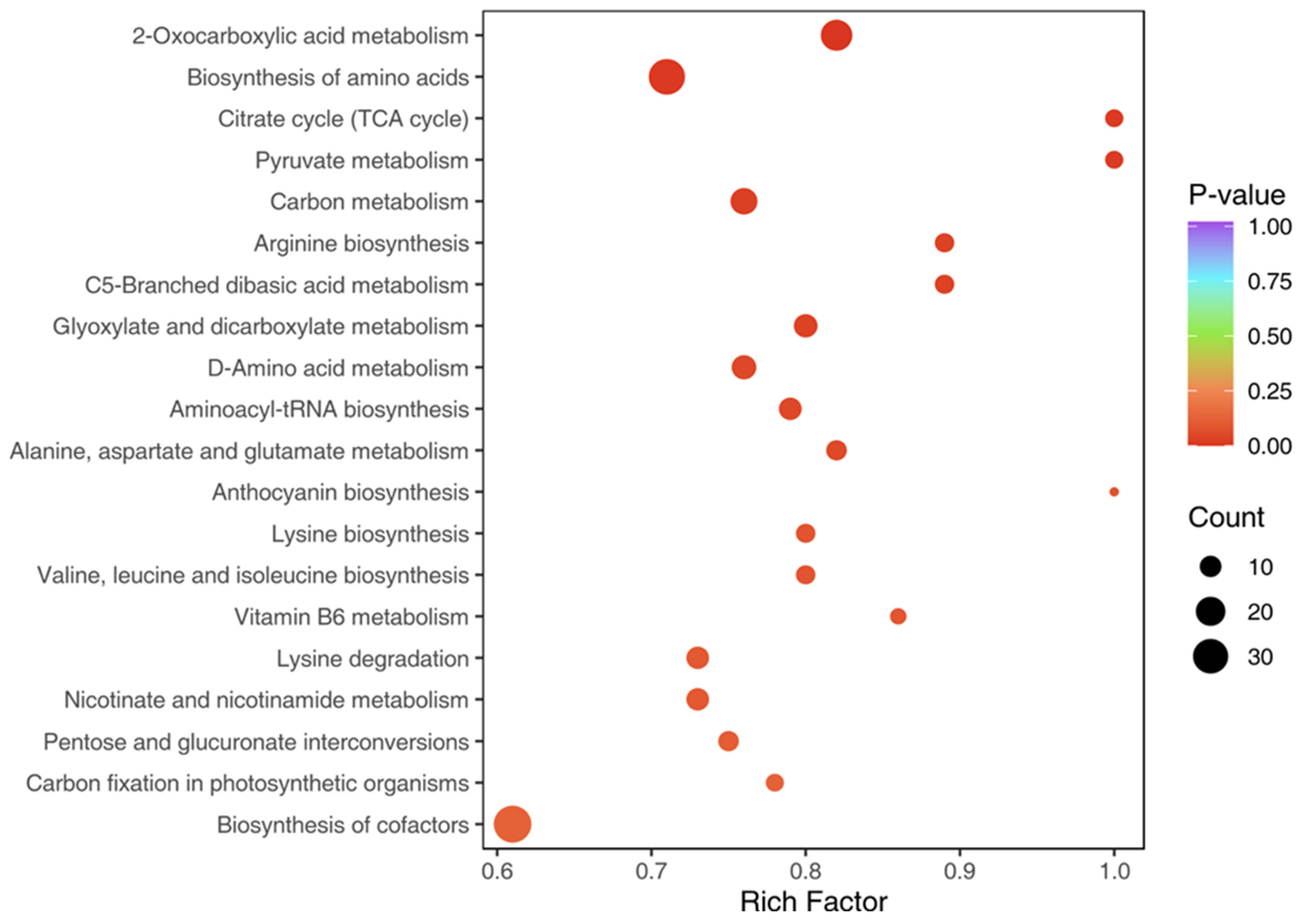 Metabolites 15 00306 g003