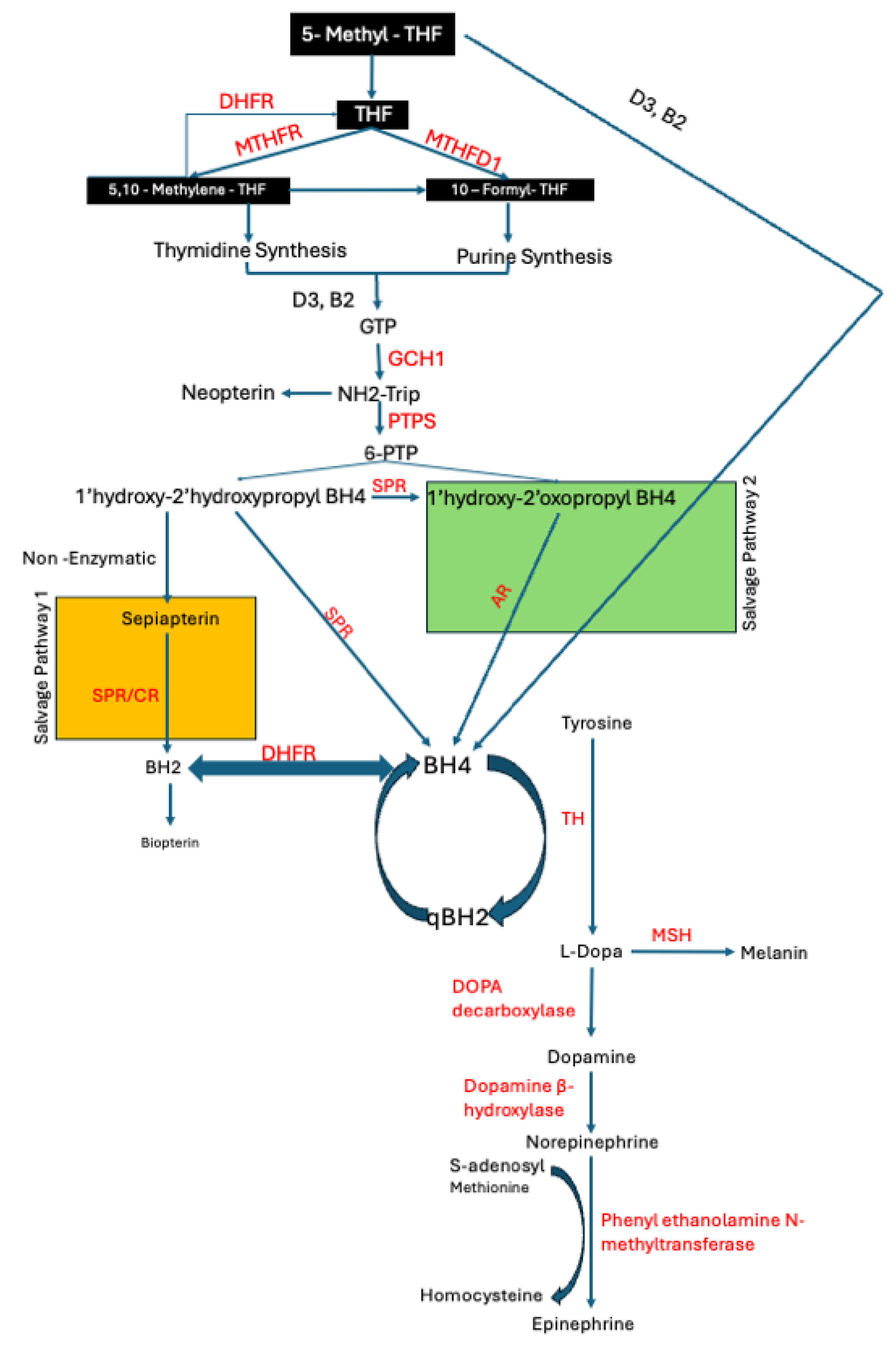 Metabolites 15 00307 g001