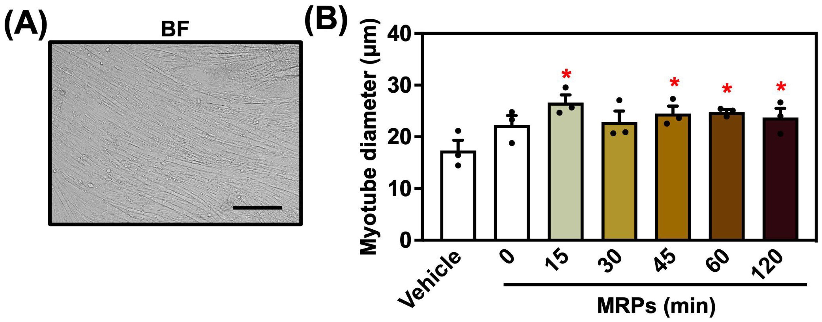 Metabolites 15 00316 g002