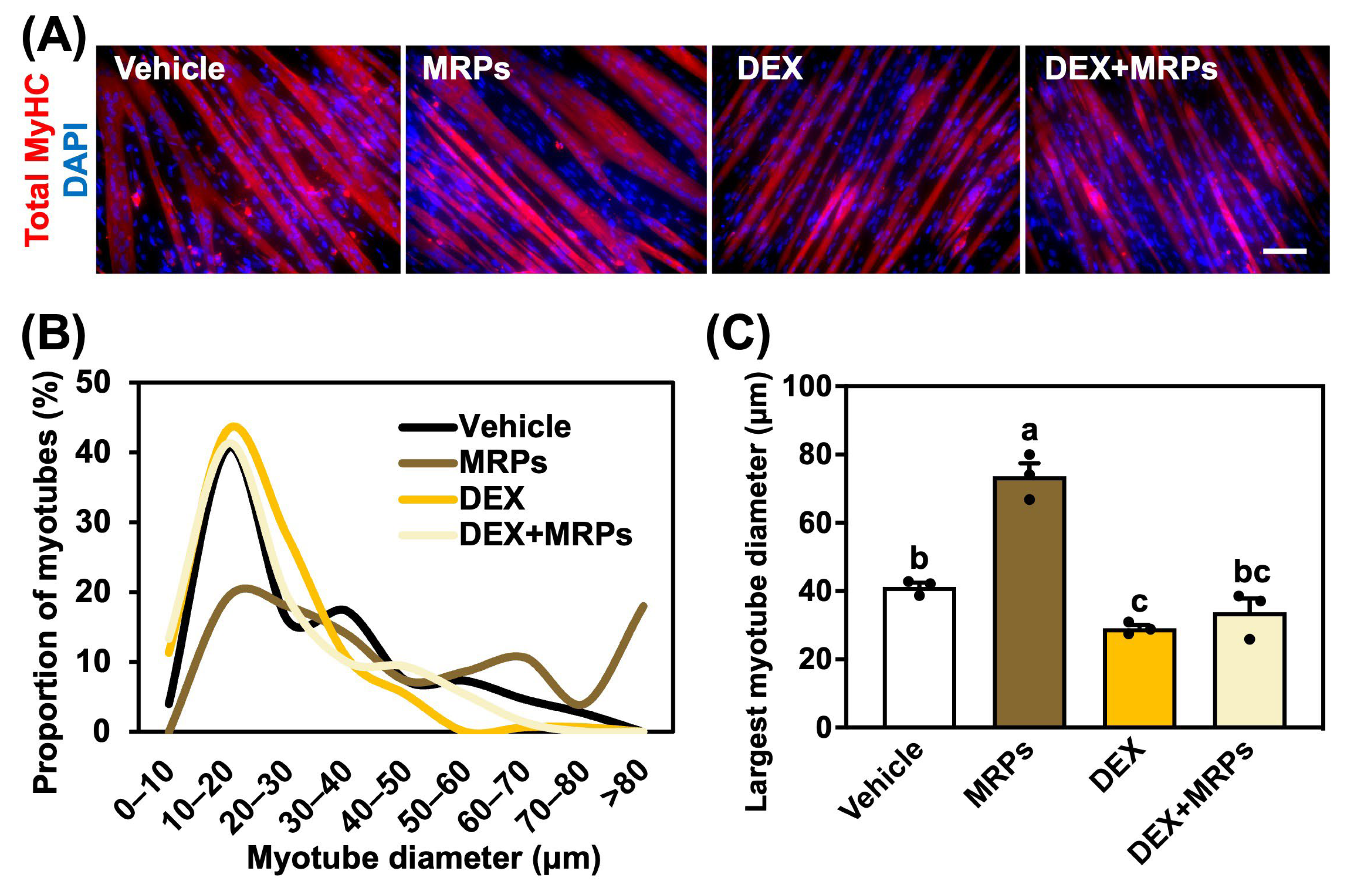 Metabolites 15 00316 g004a
