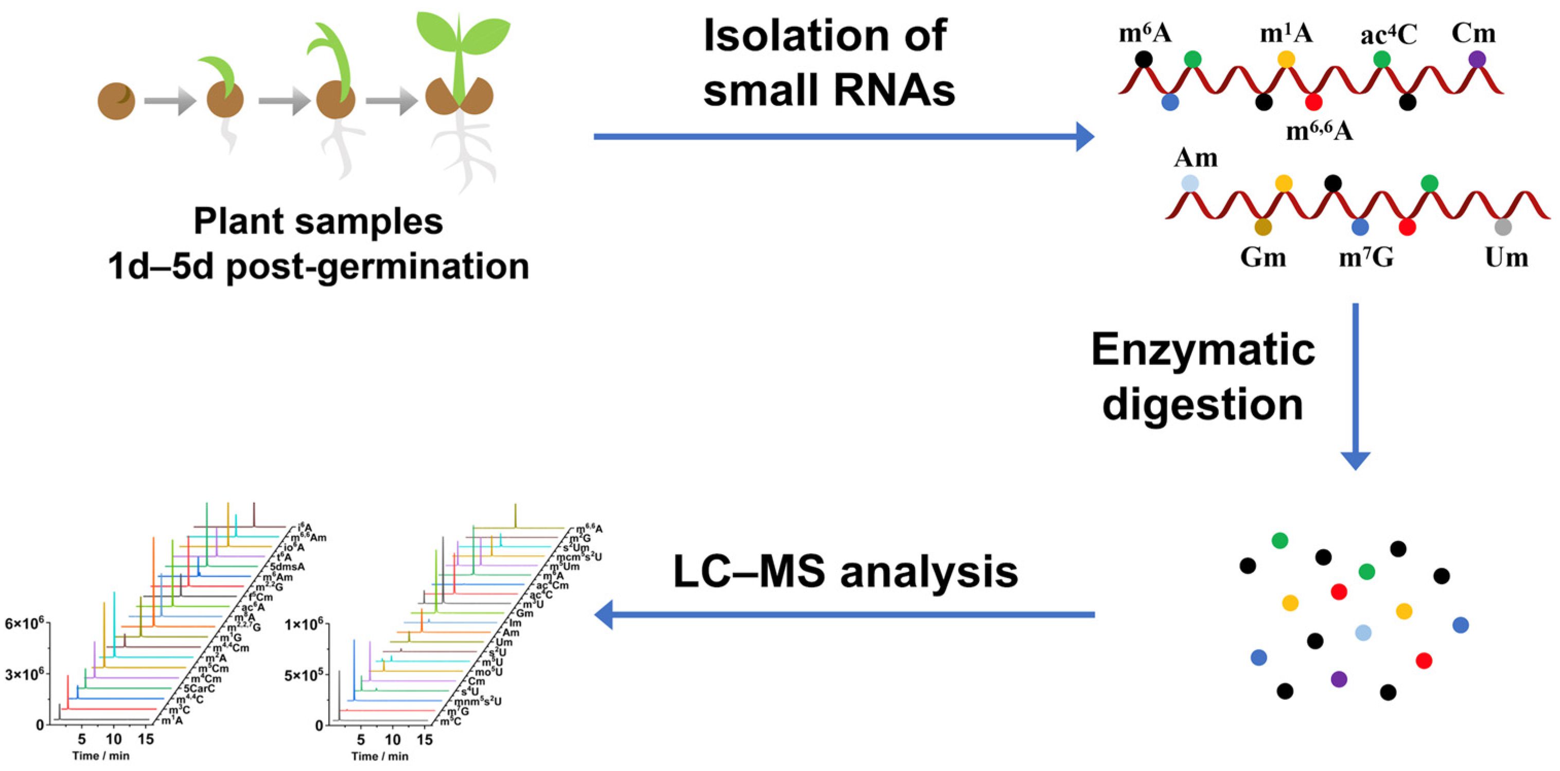 Metabolites 15 00319 g001