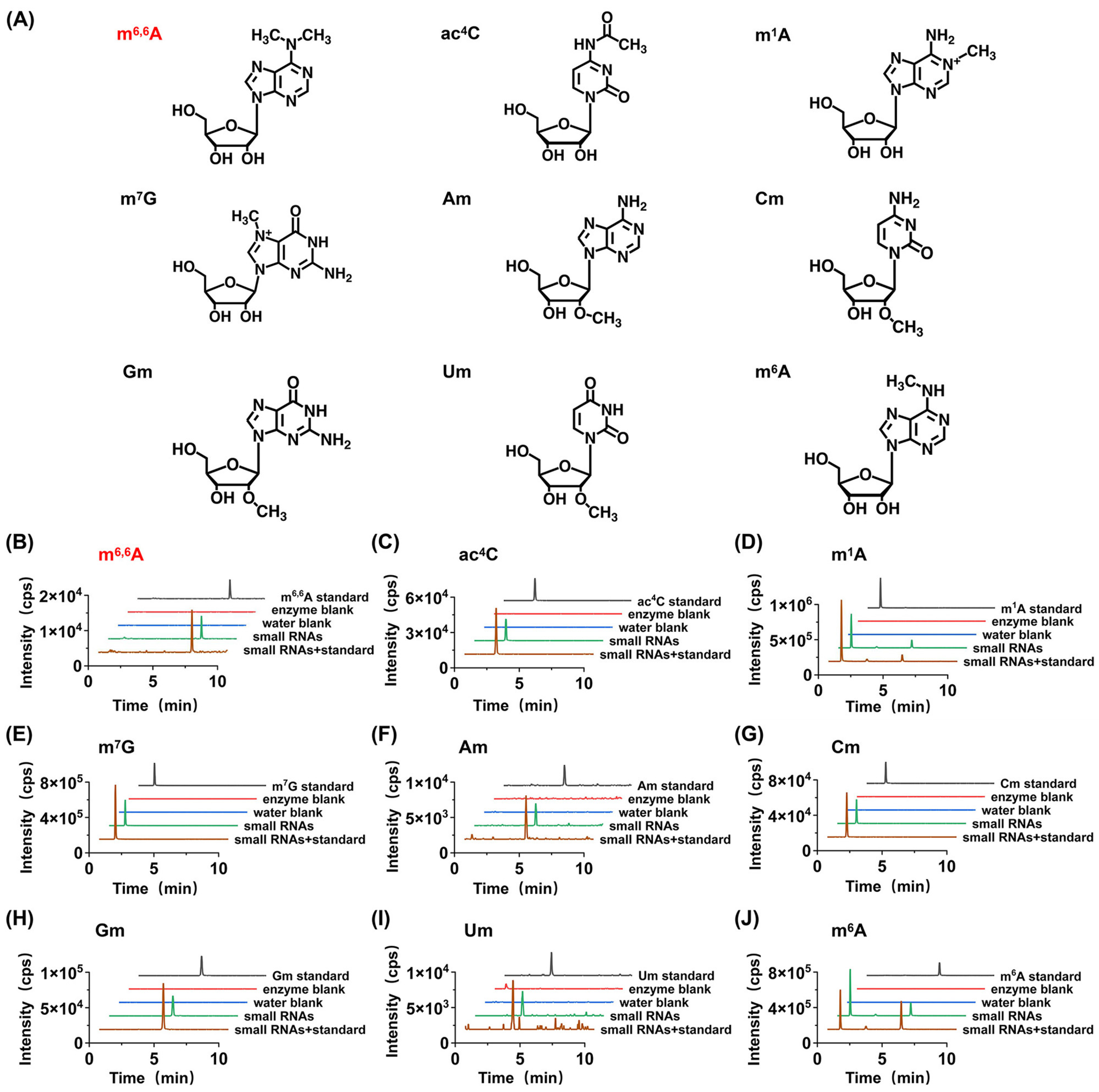 Metabolites 15 00319 g002