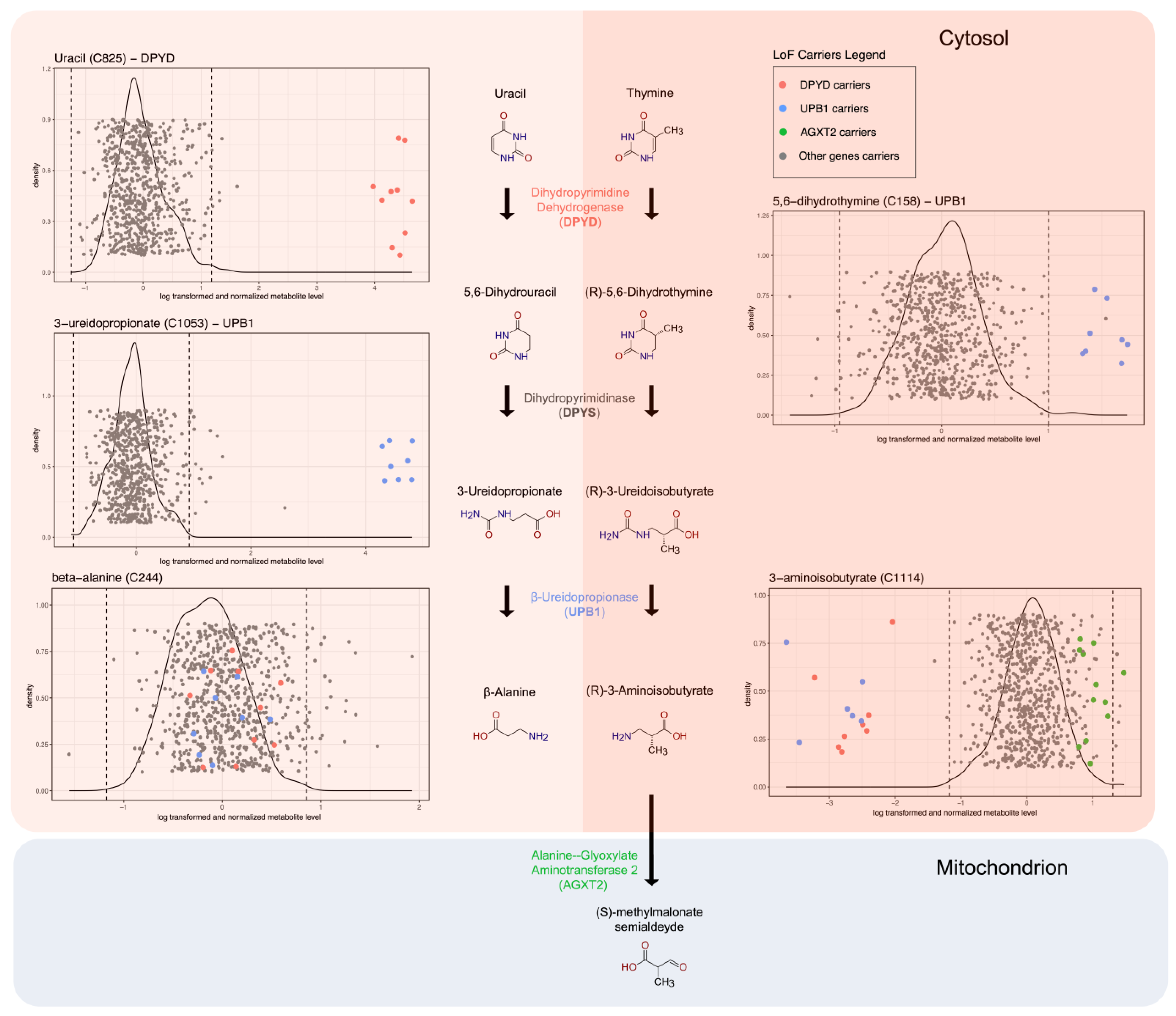 Metabolites 15 00323 g002