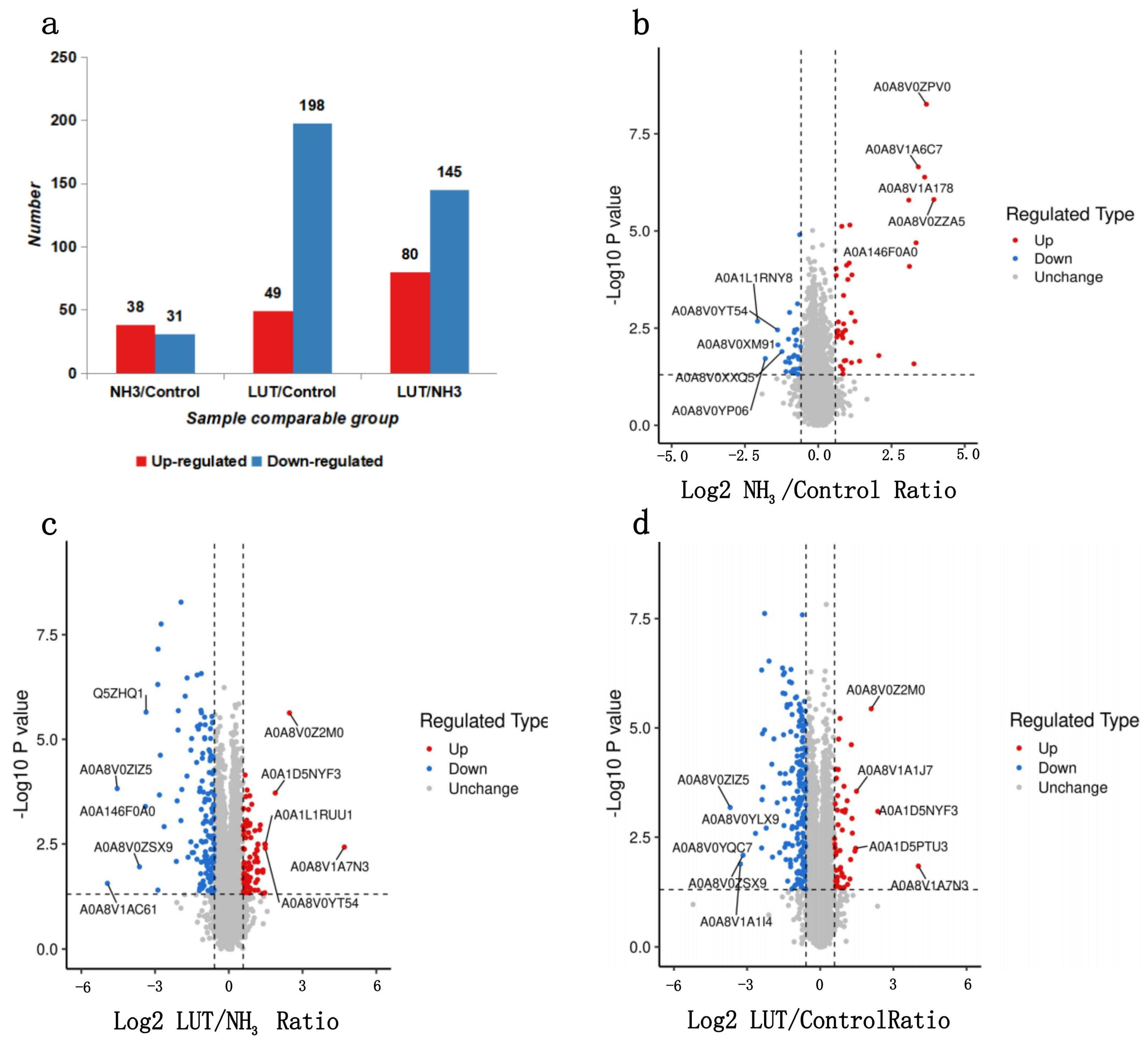Metabolites 15 00326 g004