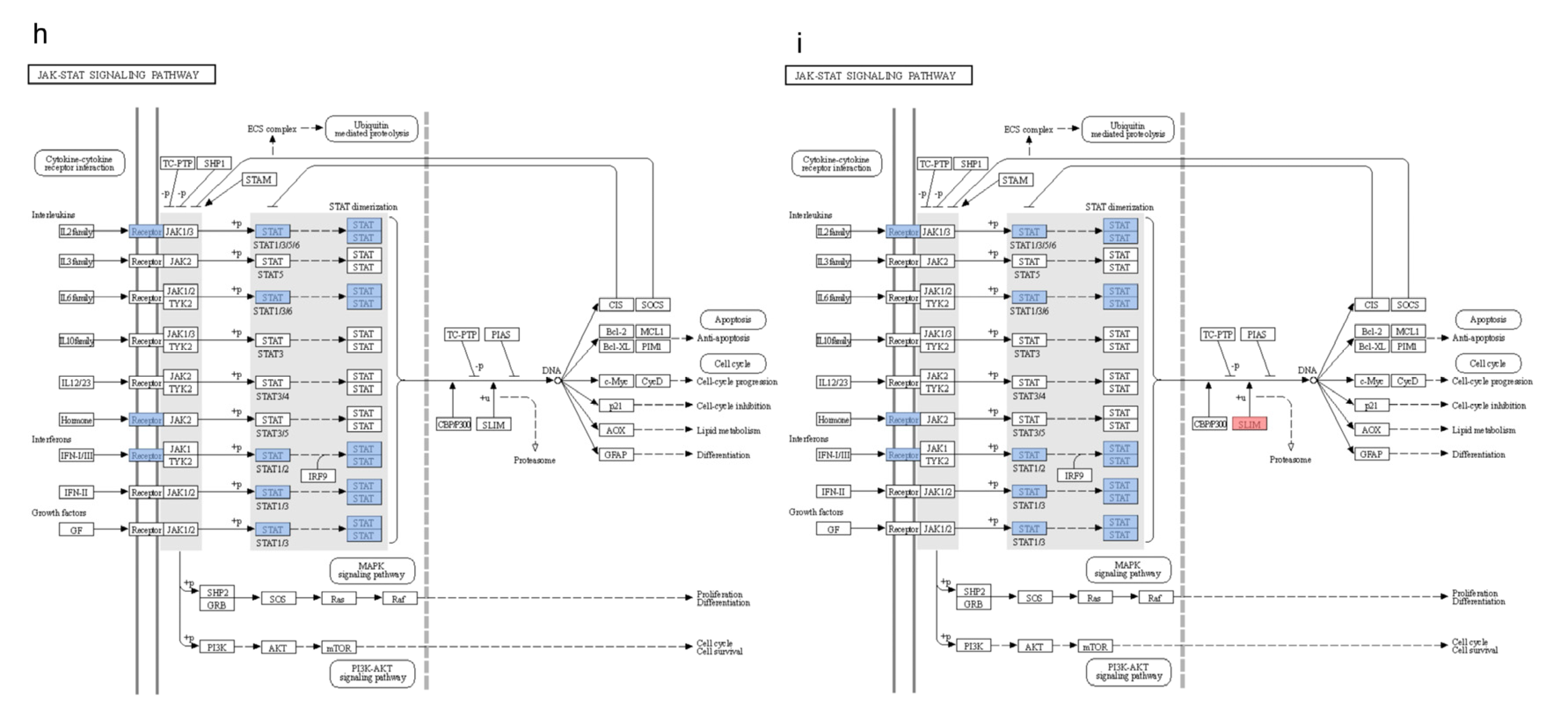 Metabolites 15 00326 g006c