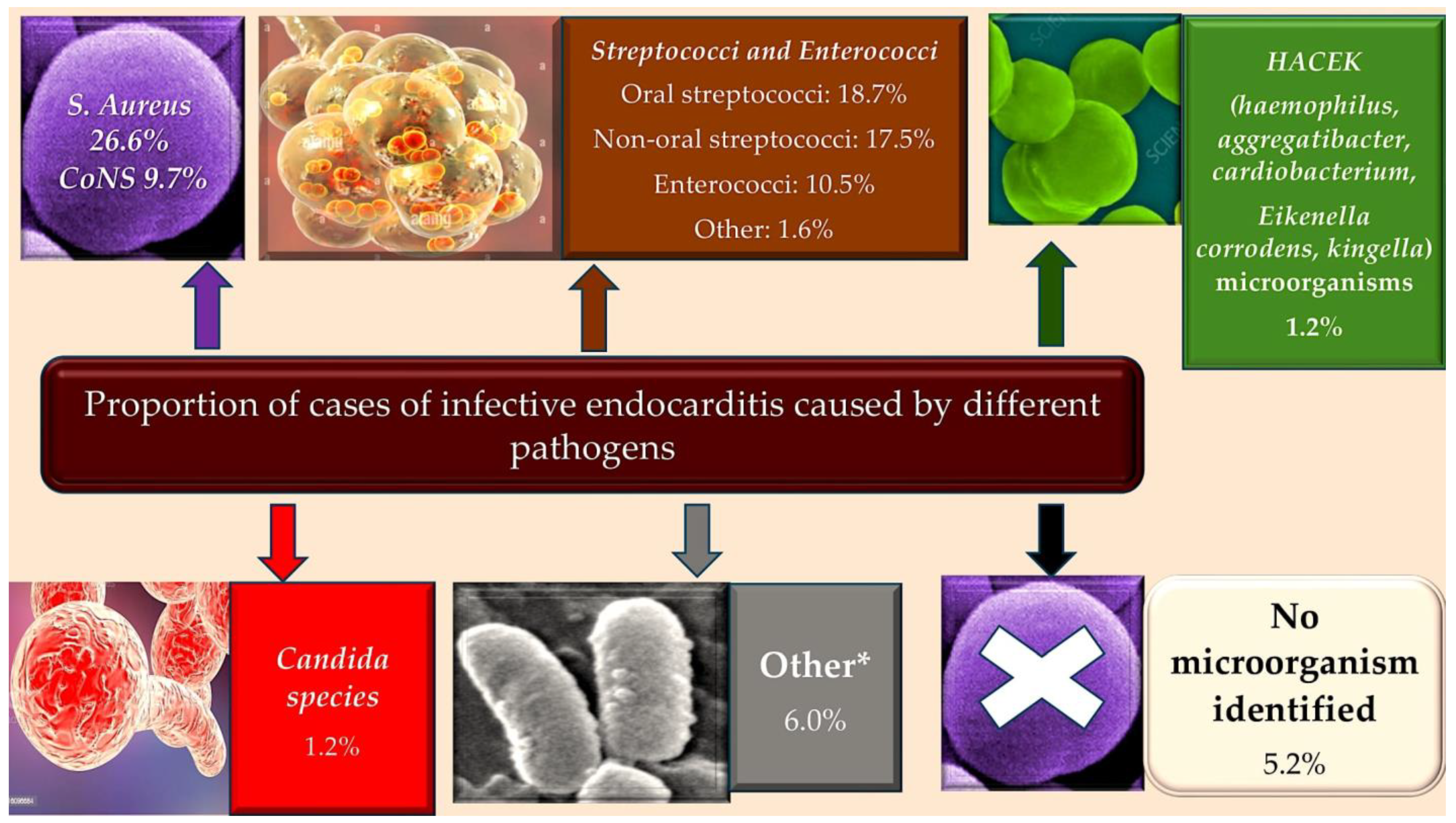 Metabolites 15 00328 g001 Metabolites 15 00328 g001