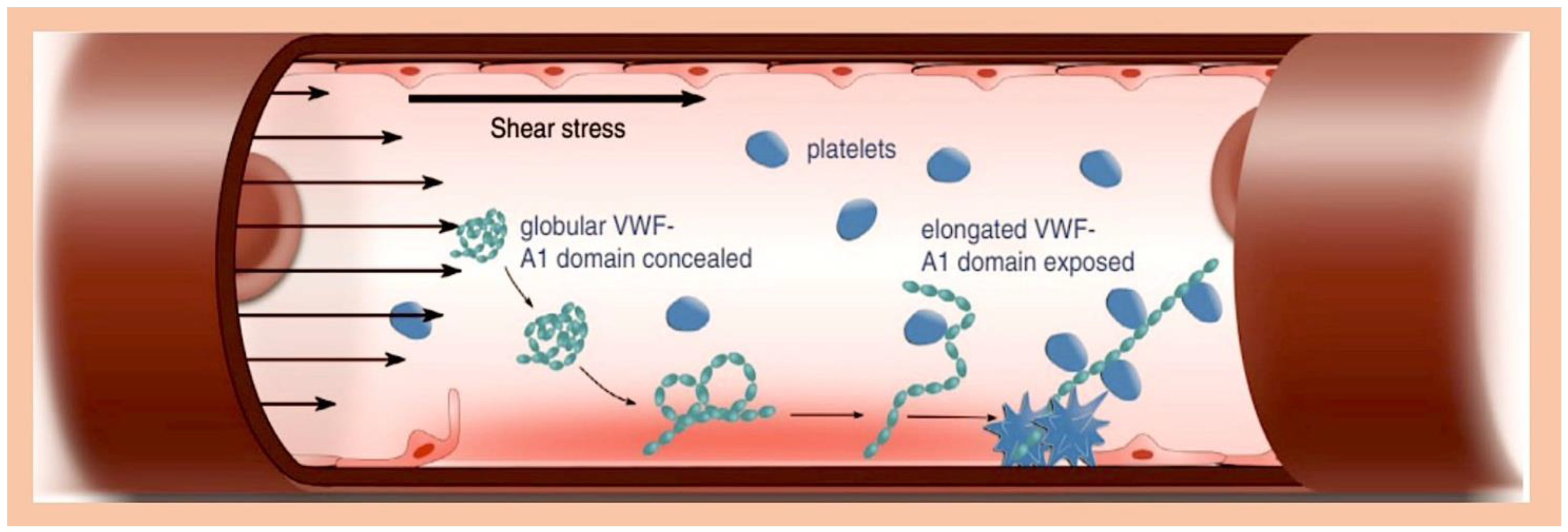 Metabolites 15 00328 g004 Metabolites 15 00328 g004