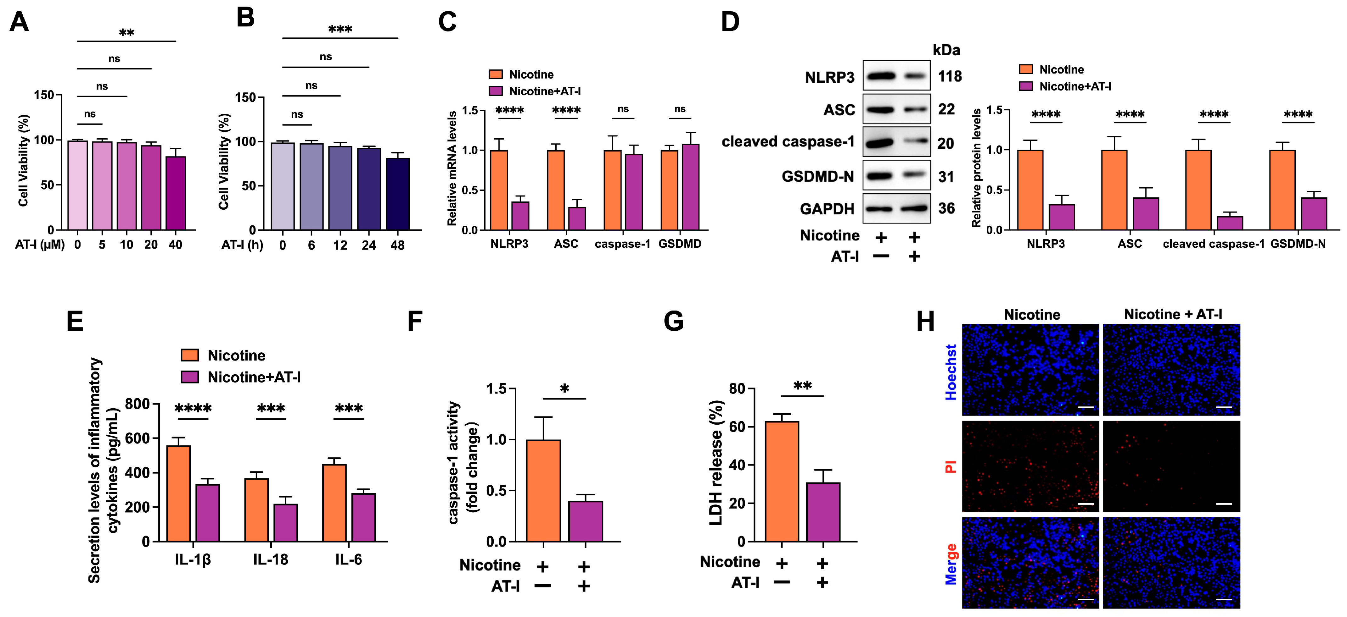 Metabolites 15 00329 g002