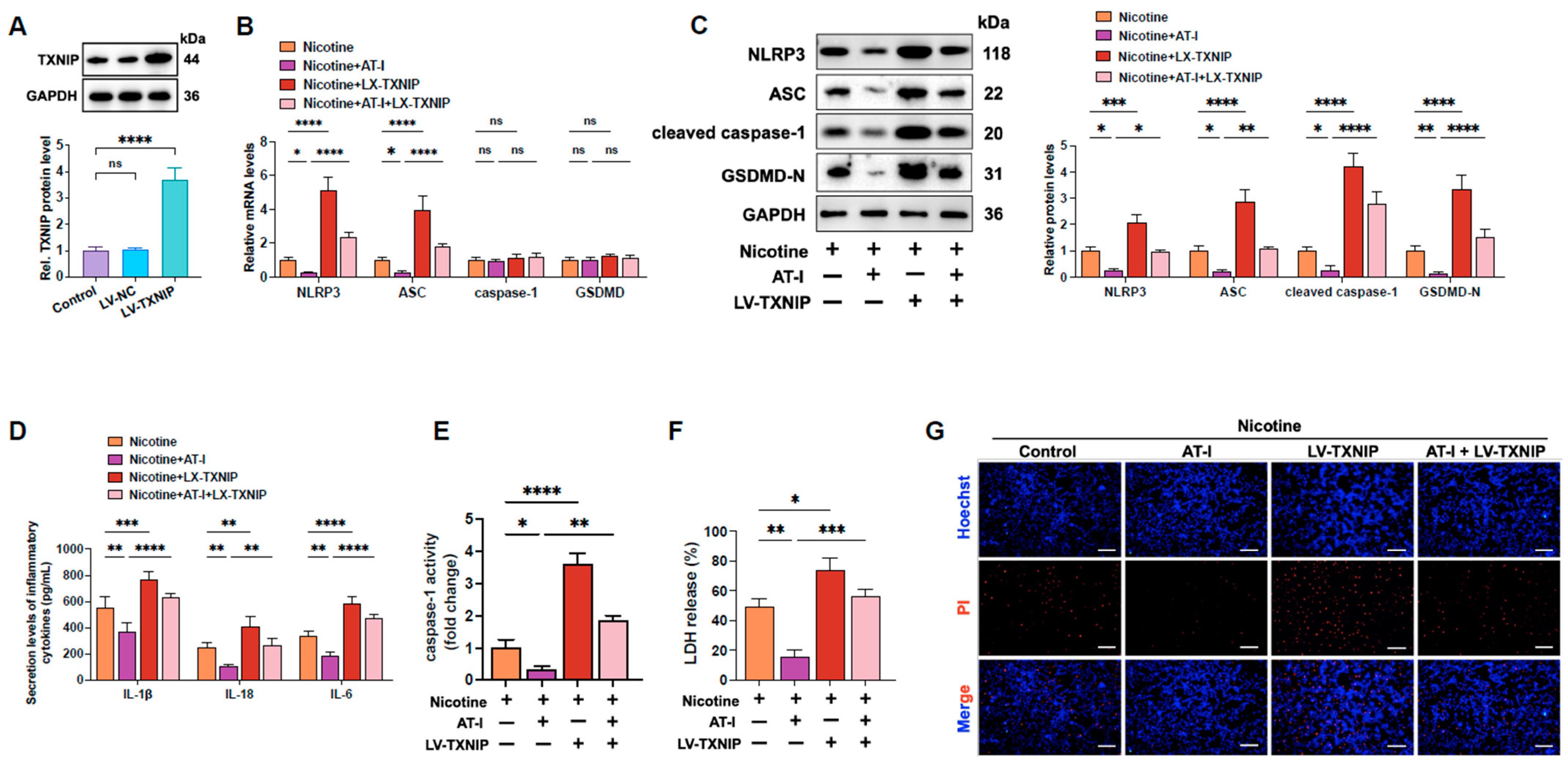 Metabolites 15 00329 g003