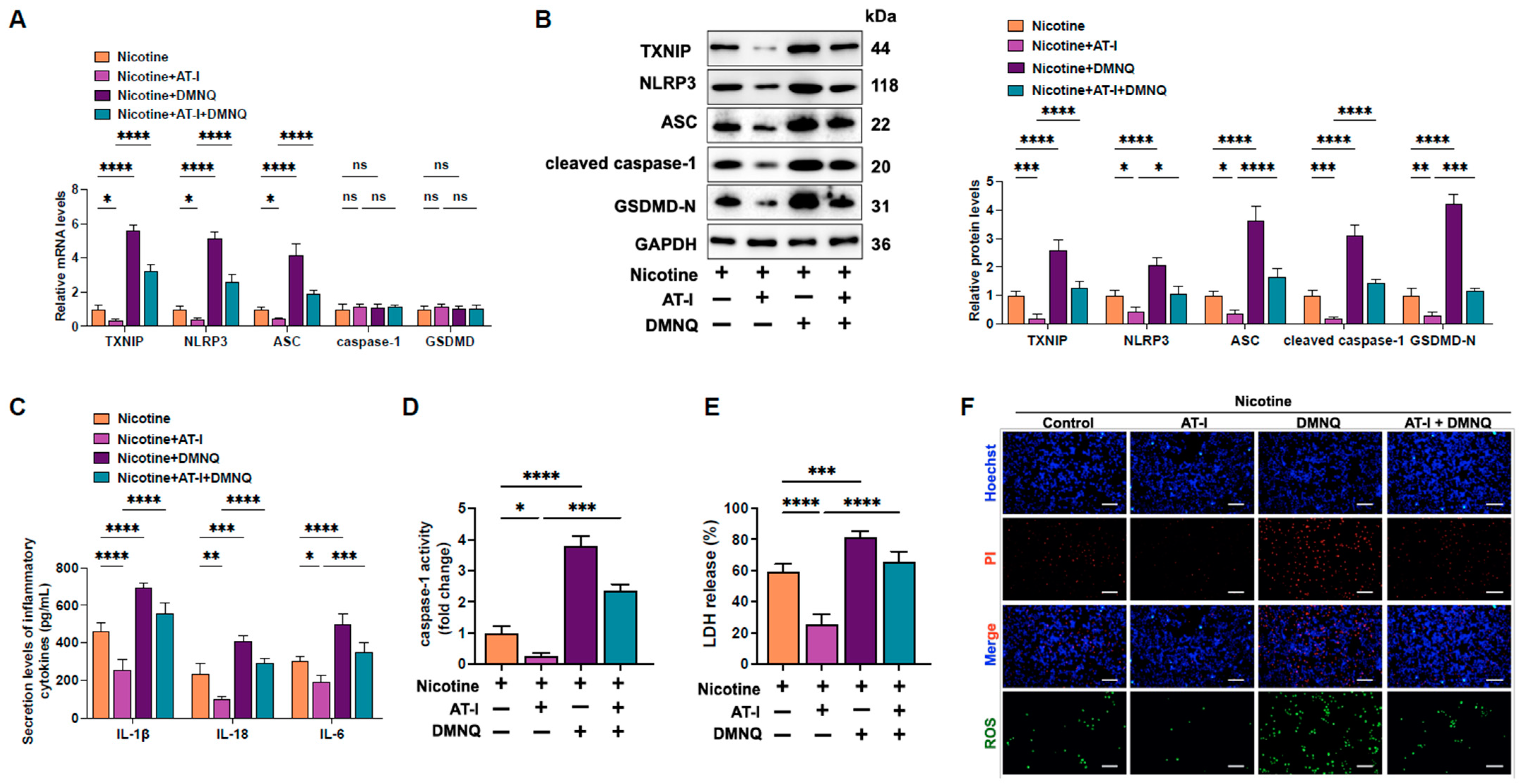 Metabolites 15 00329 g004