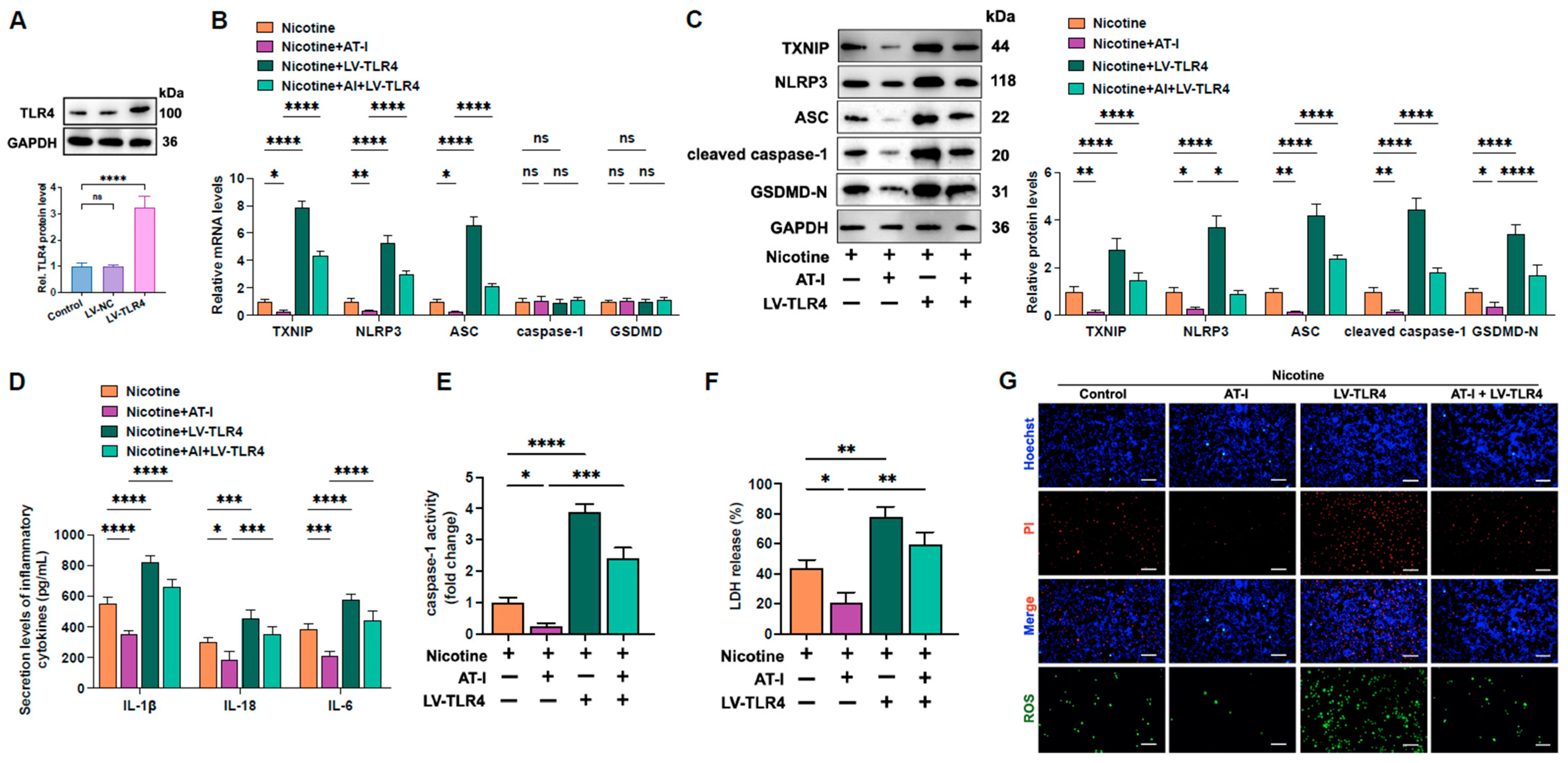 Metabolites 15 00329 g005