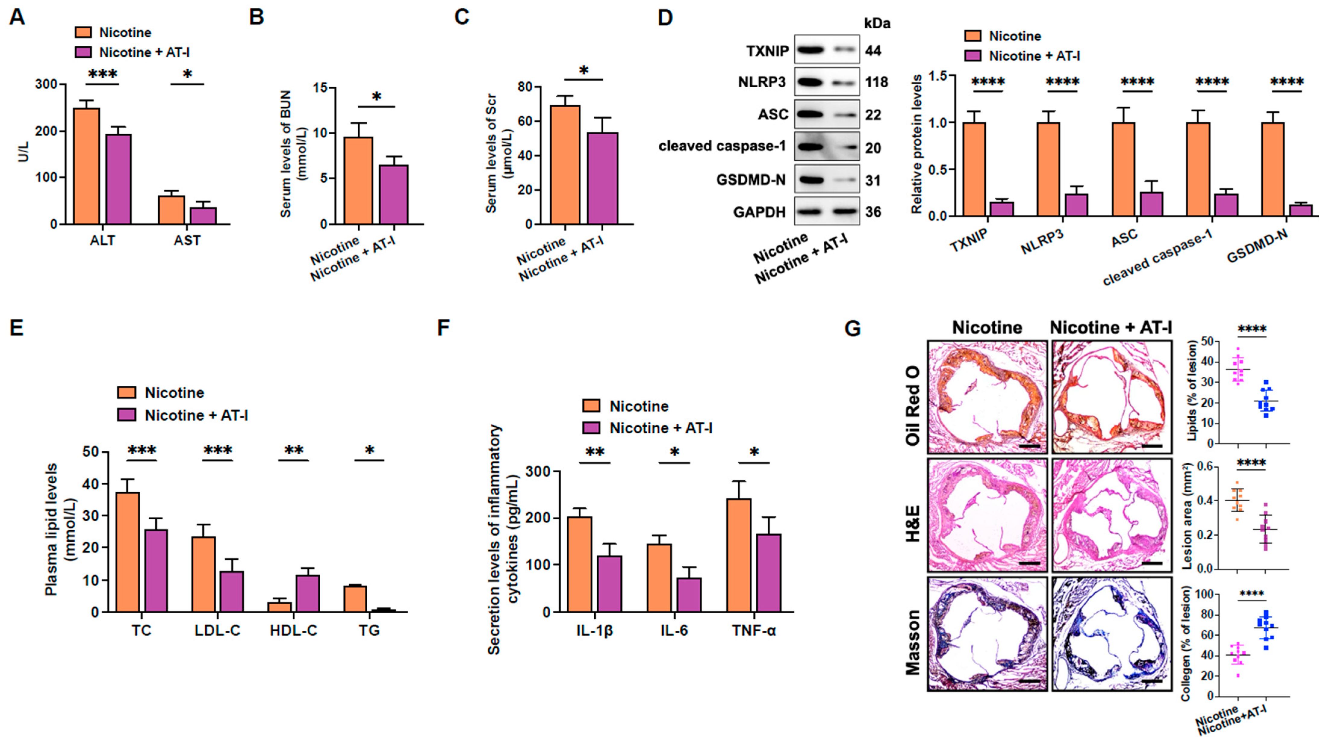 Metabolites 15 00329 g006