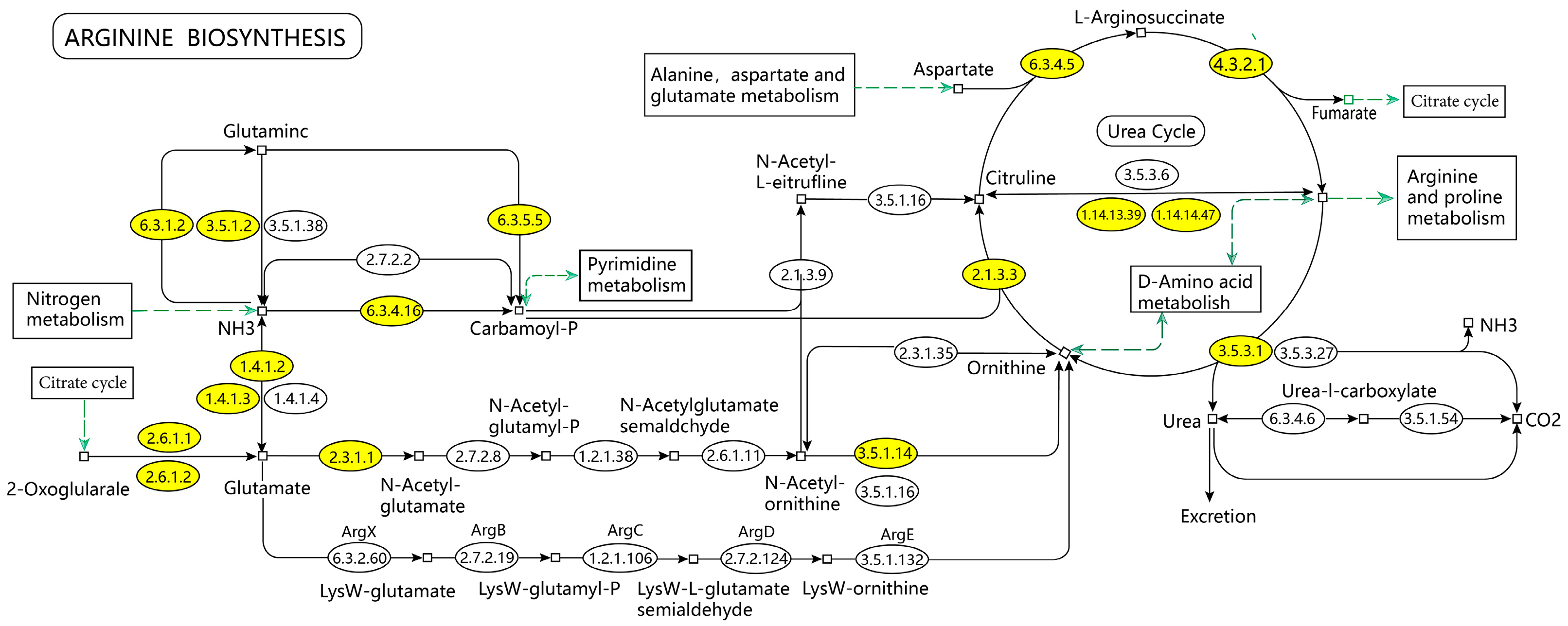 Metabolites 15 00336 g008