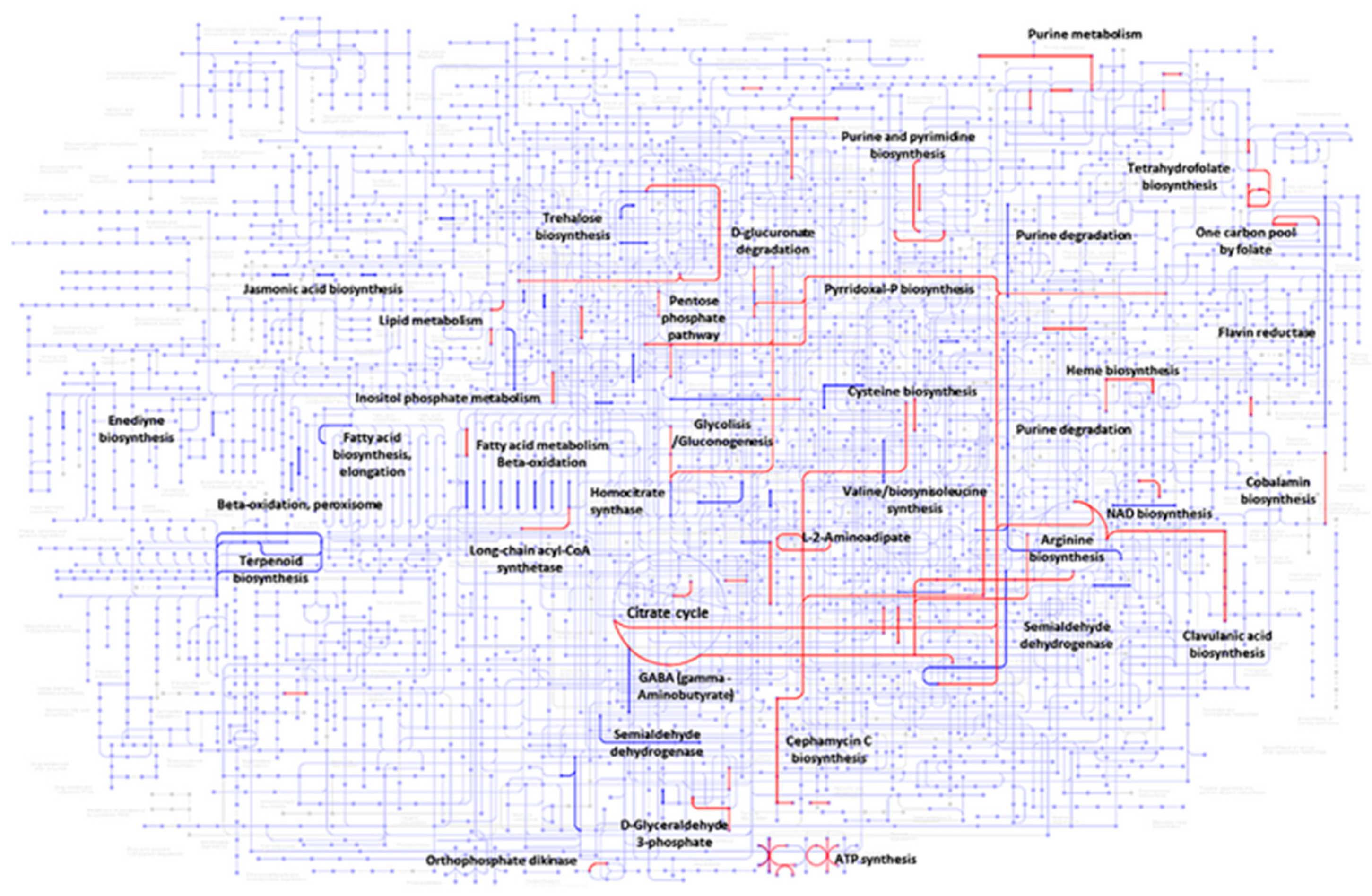 Metabolites 15 00337 g004