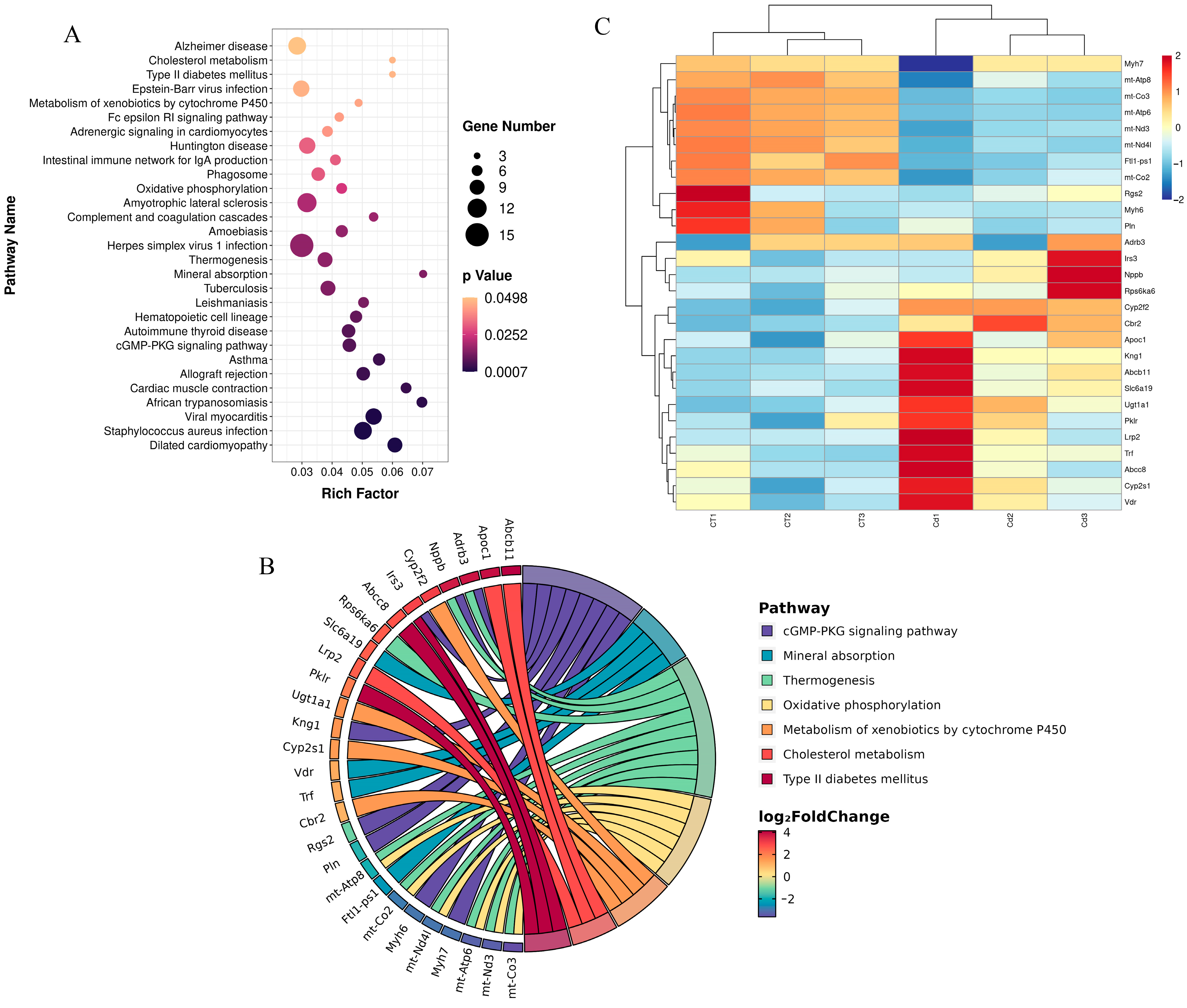 Metabolites 15 00339 g002
