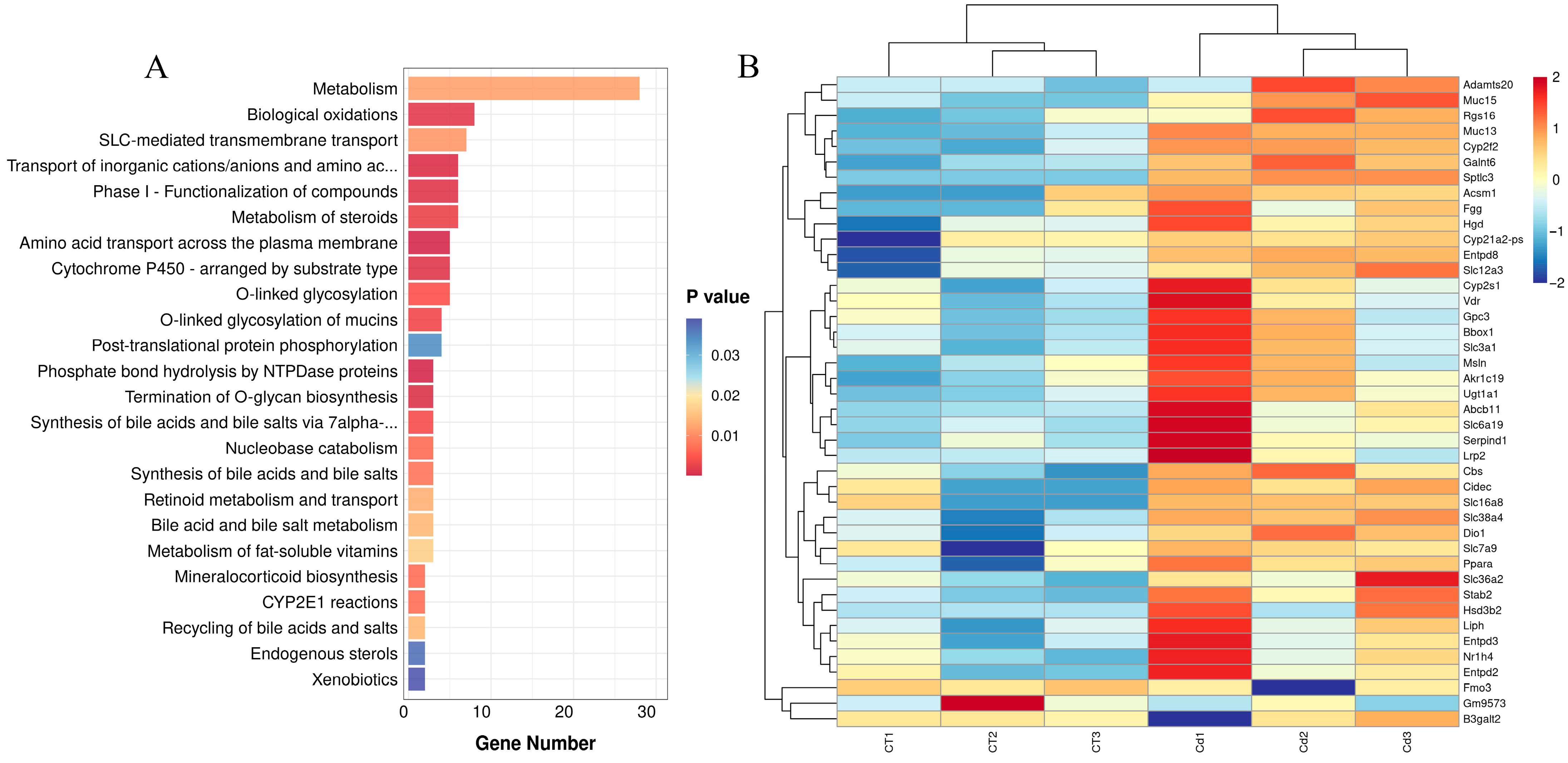 Metabolites 15 00339 g004