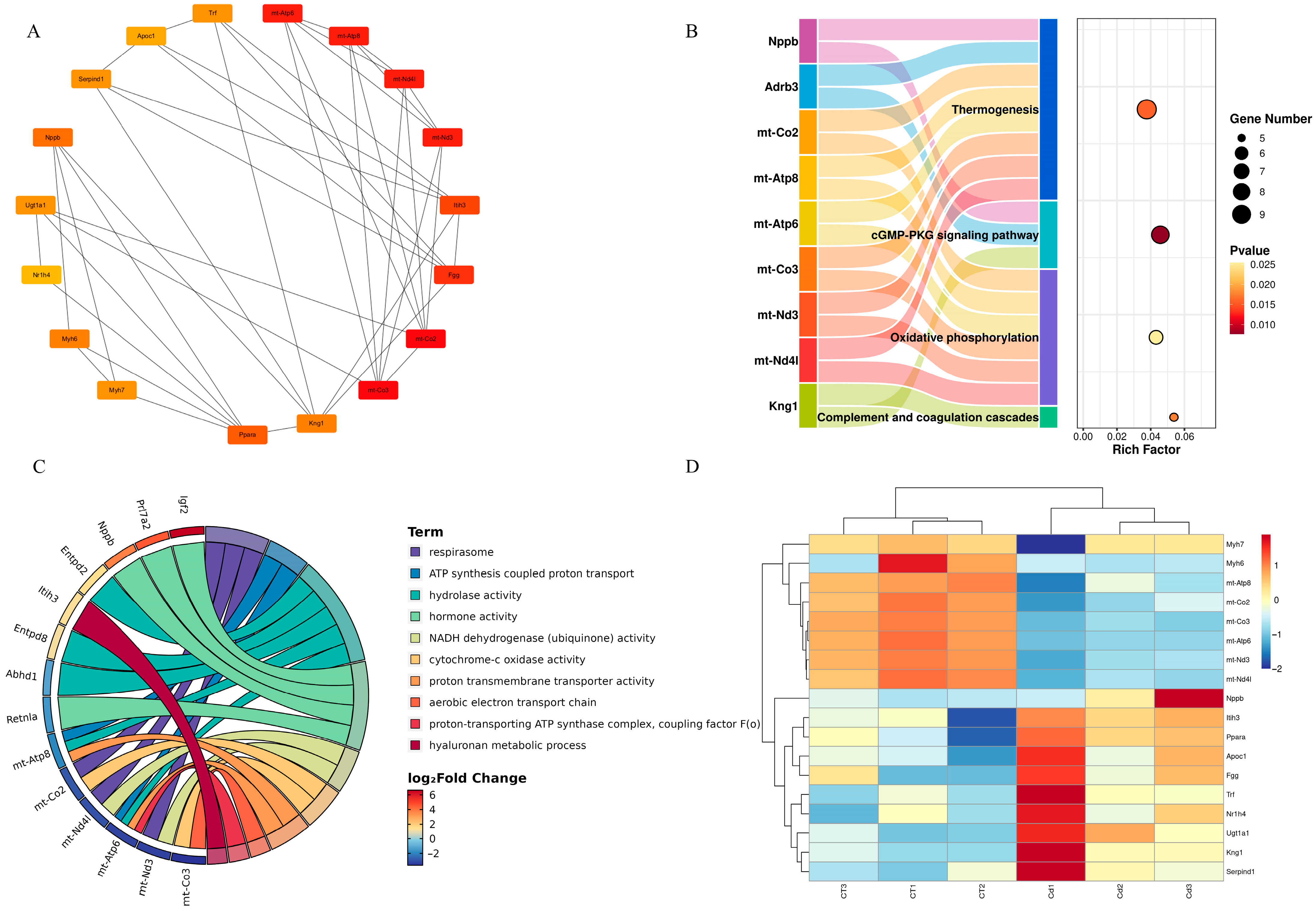 Metabolites 15 00339 g006
