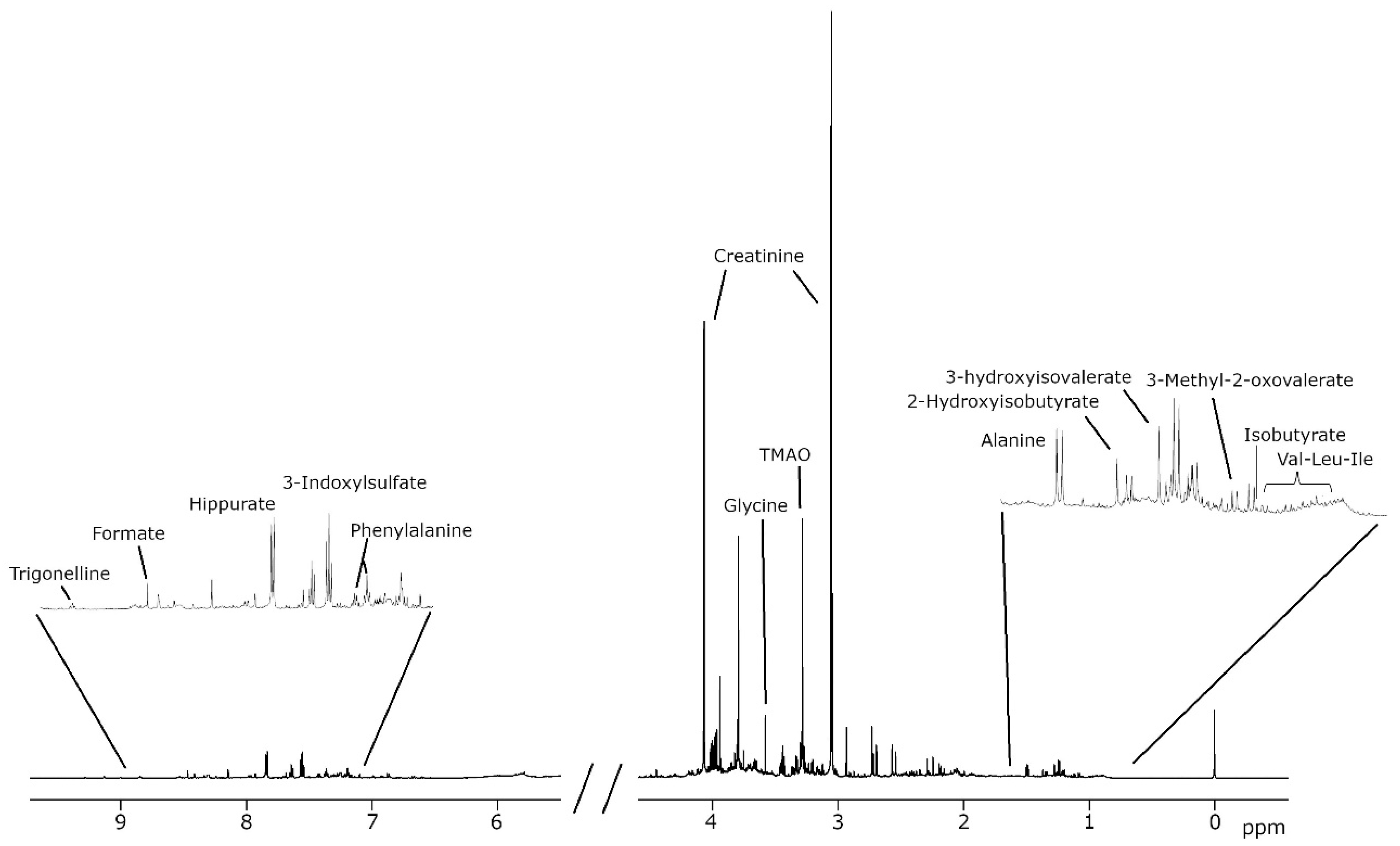Metabolites 15 00348 g001