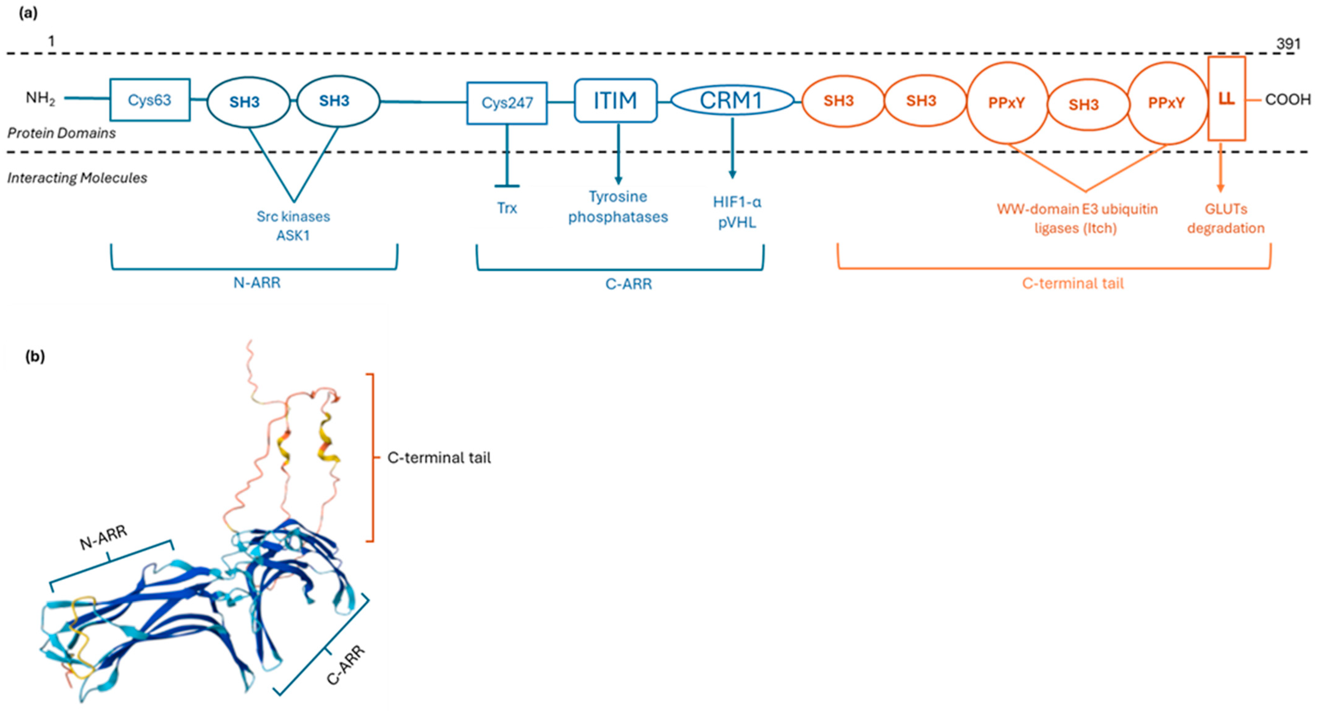 Metabolites 15 00351 g001 Metabolites 15 00351 g001