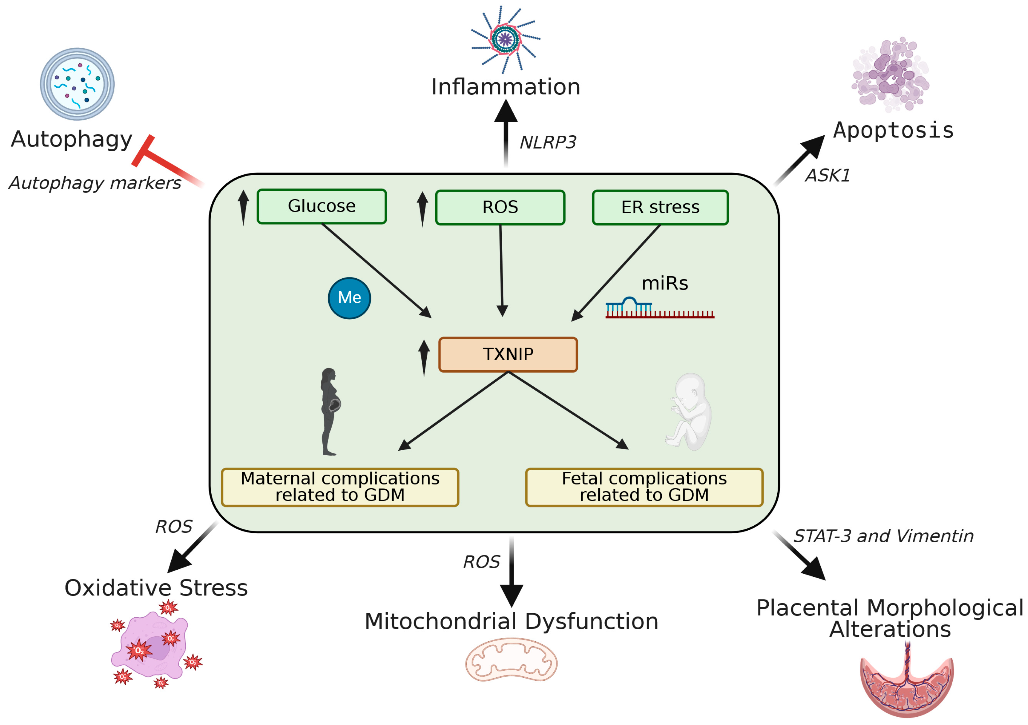 Metabolites 15 00351 g003 Metabolites 15 00351 g003