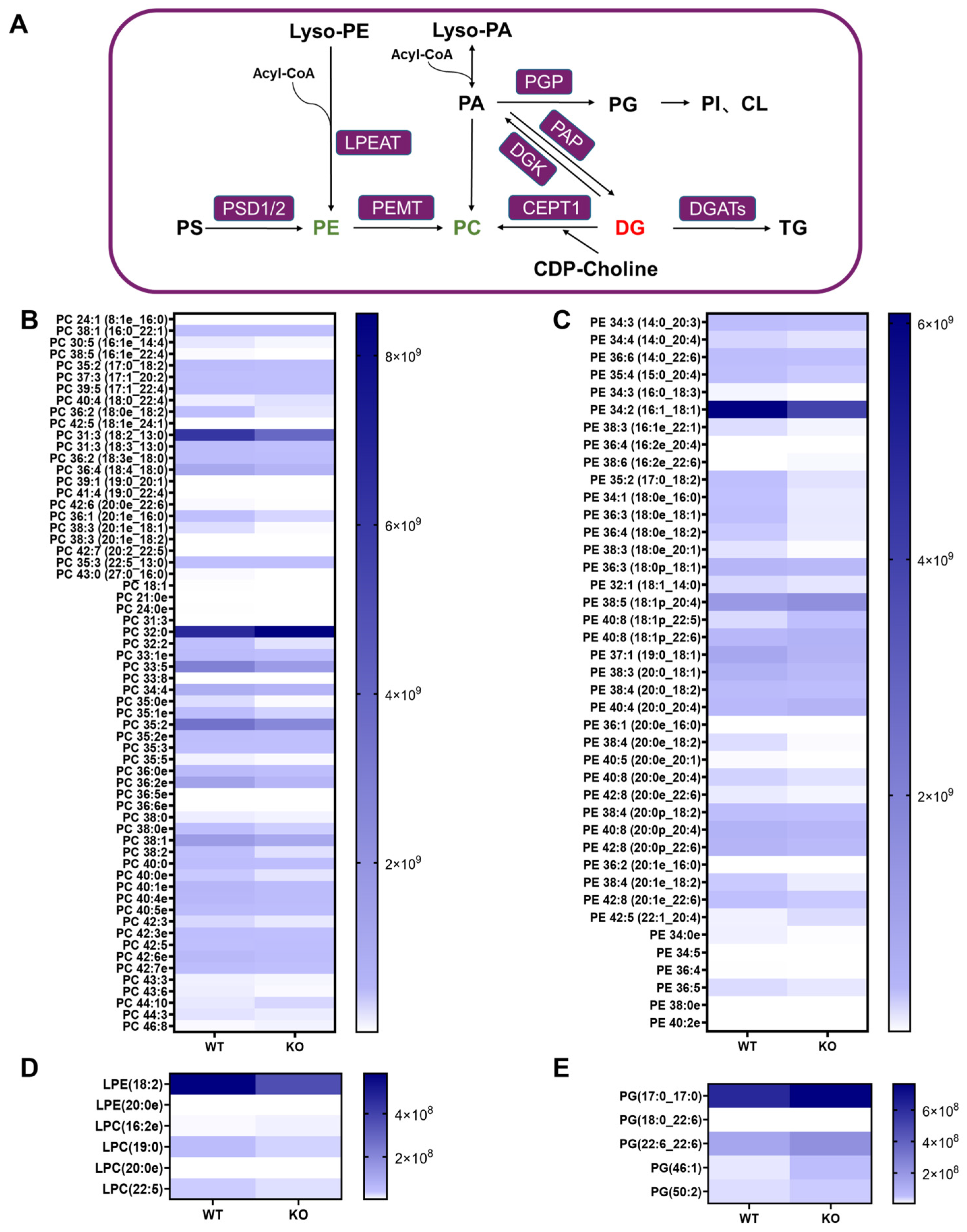 Metabolites 15 00353 g004