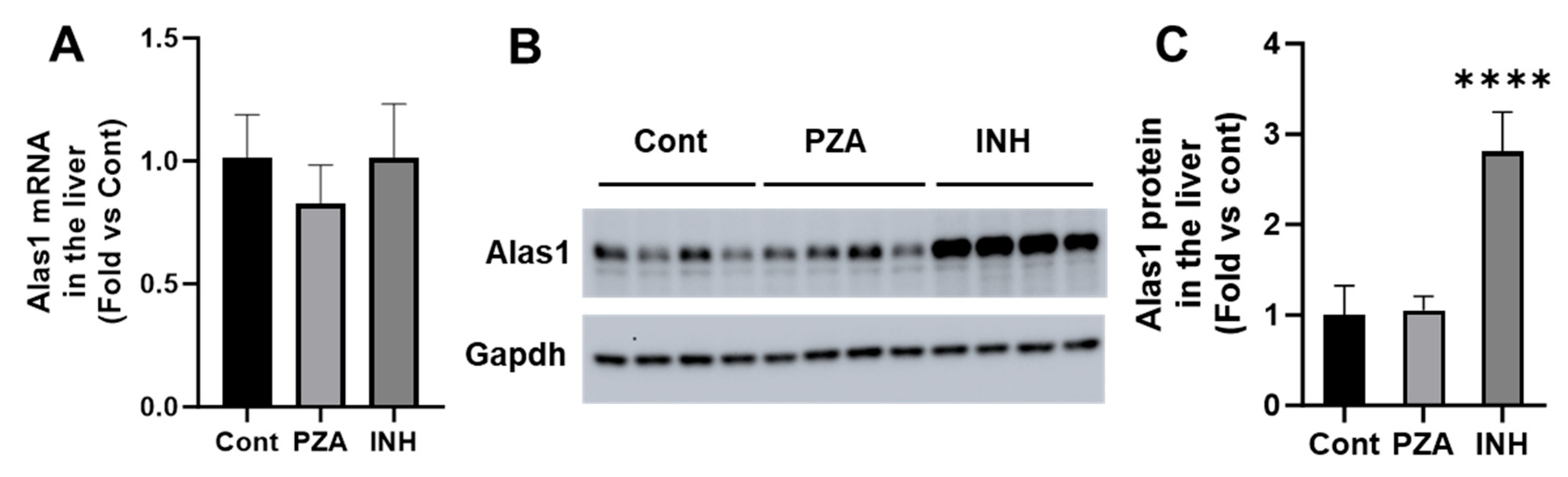 Metabolites 15 00355 g002