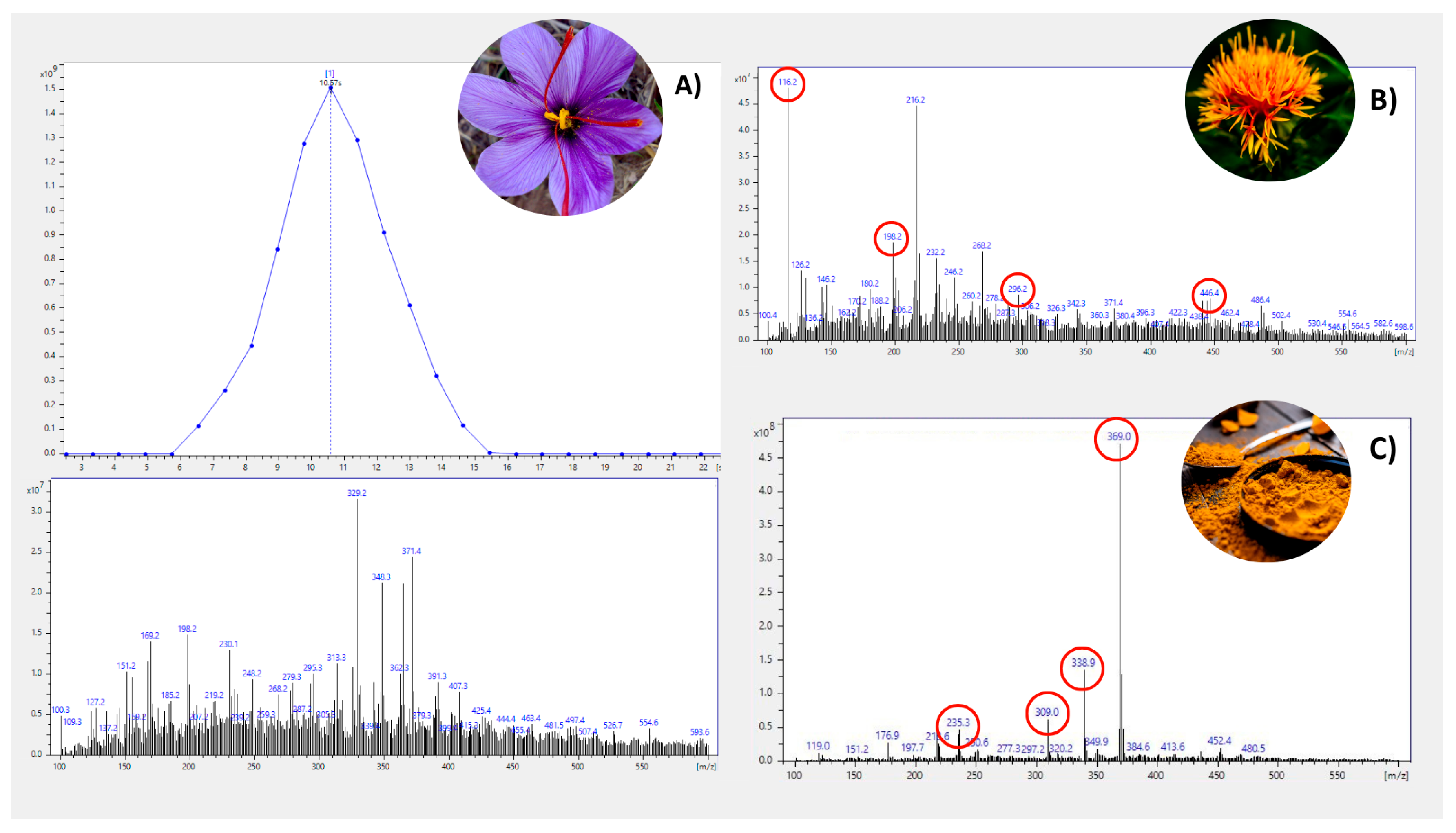 Metabolites 15 00357 g002