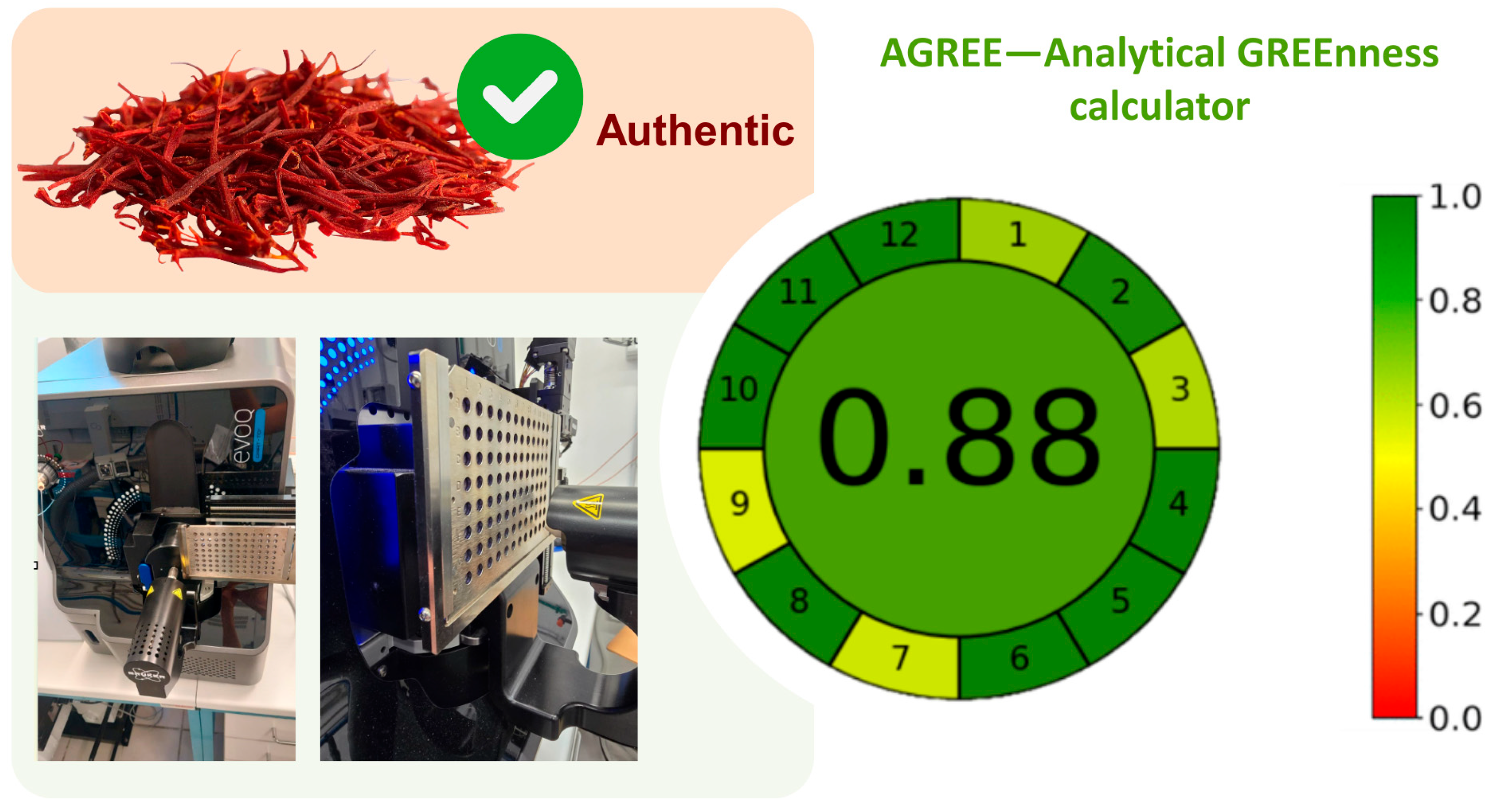 Metabolites 15 00357 g004