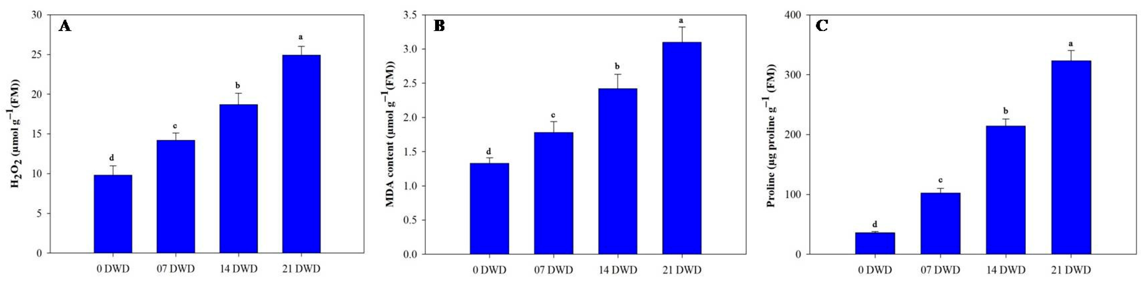 Metabolites 15 00359 g004