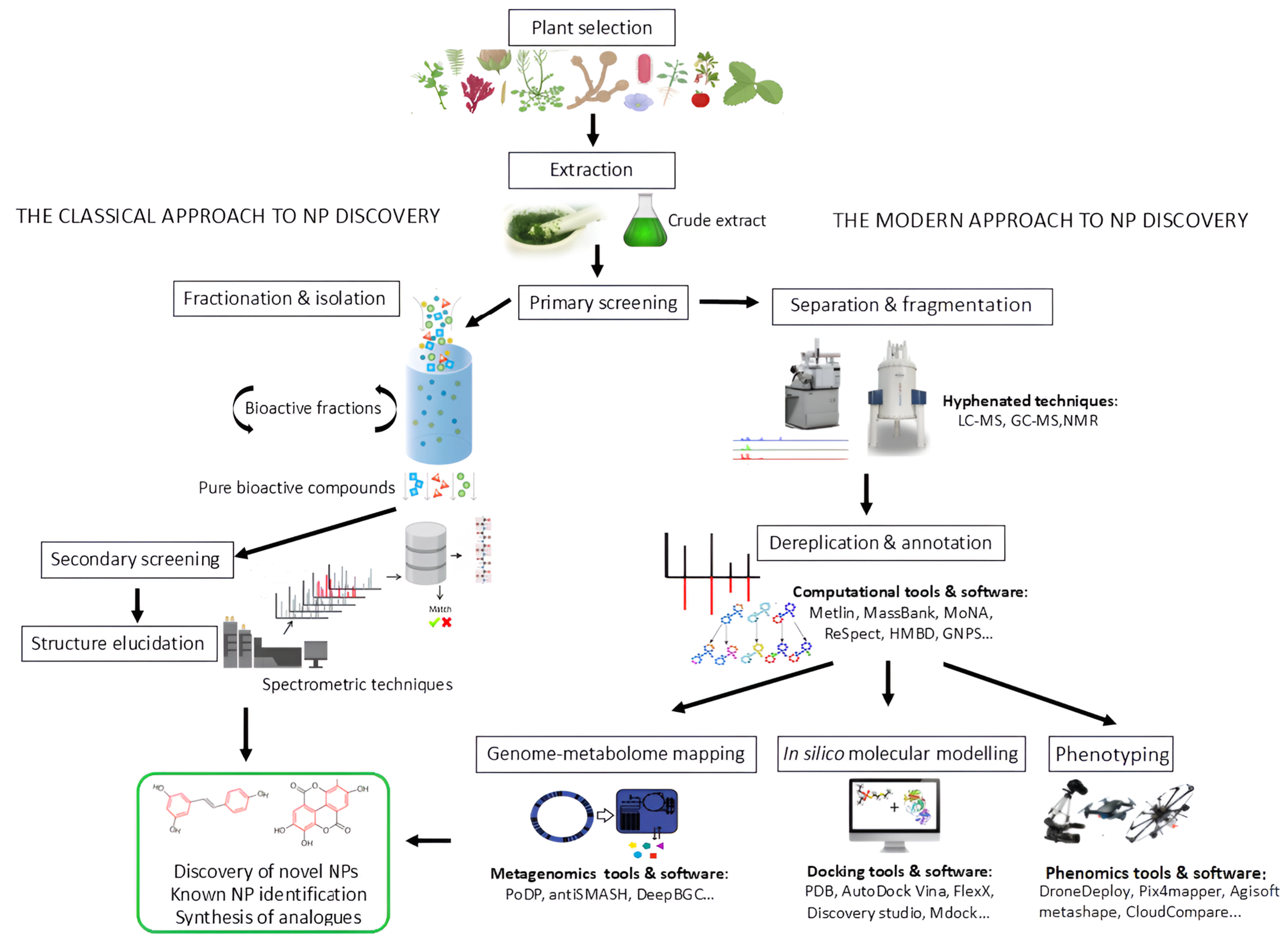 Metabolites 15 00362 g002