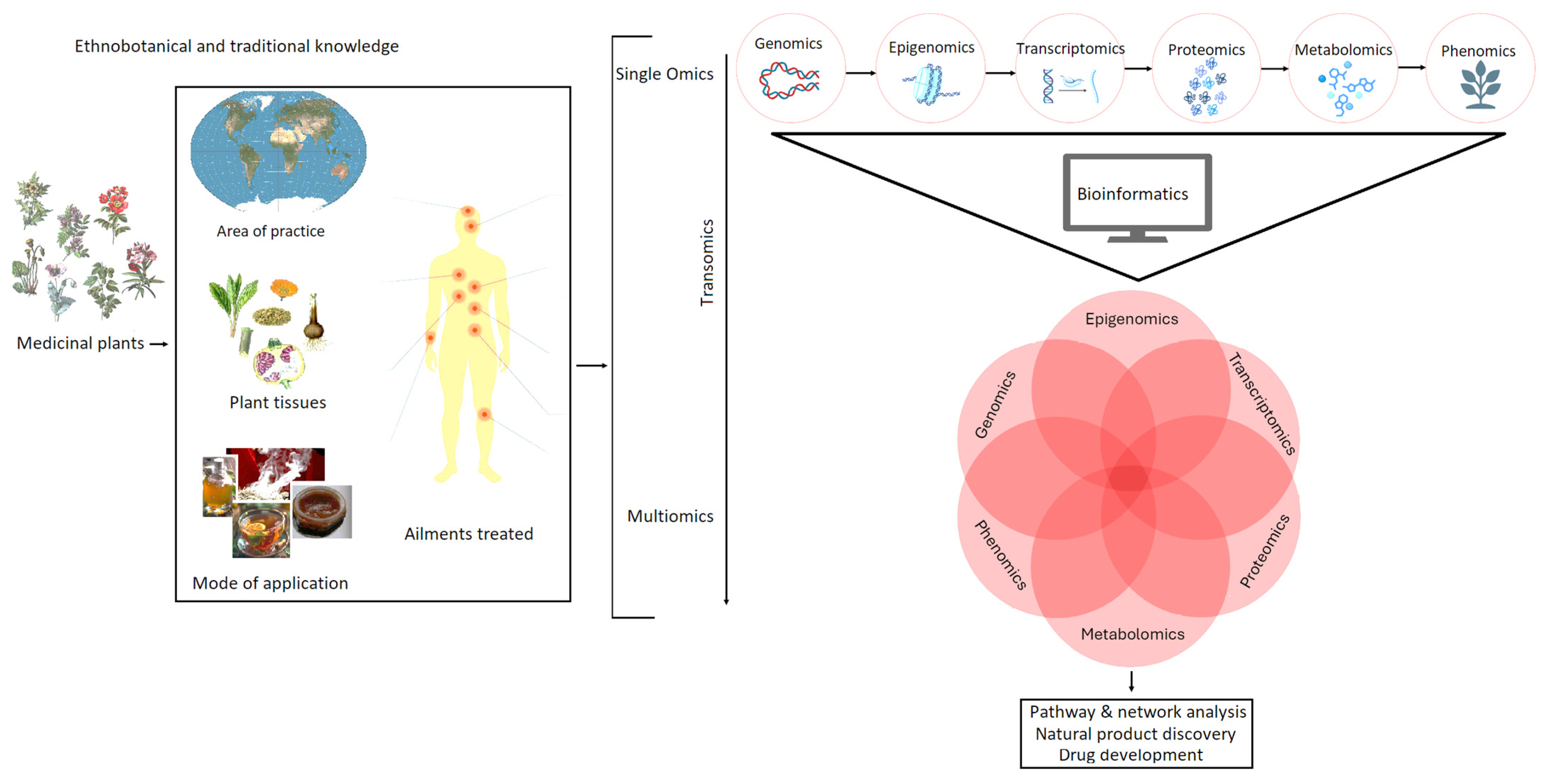 Metabolites 15 00362 g004