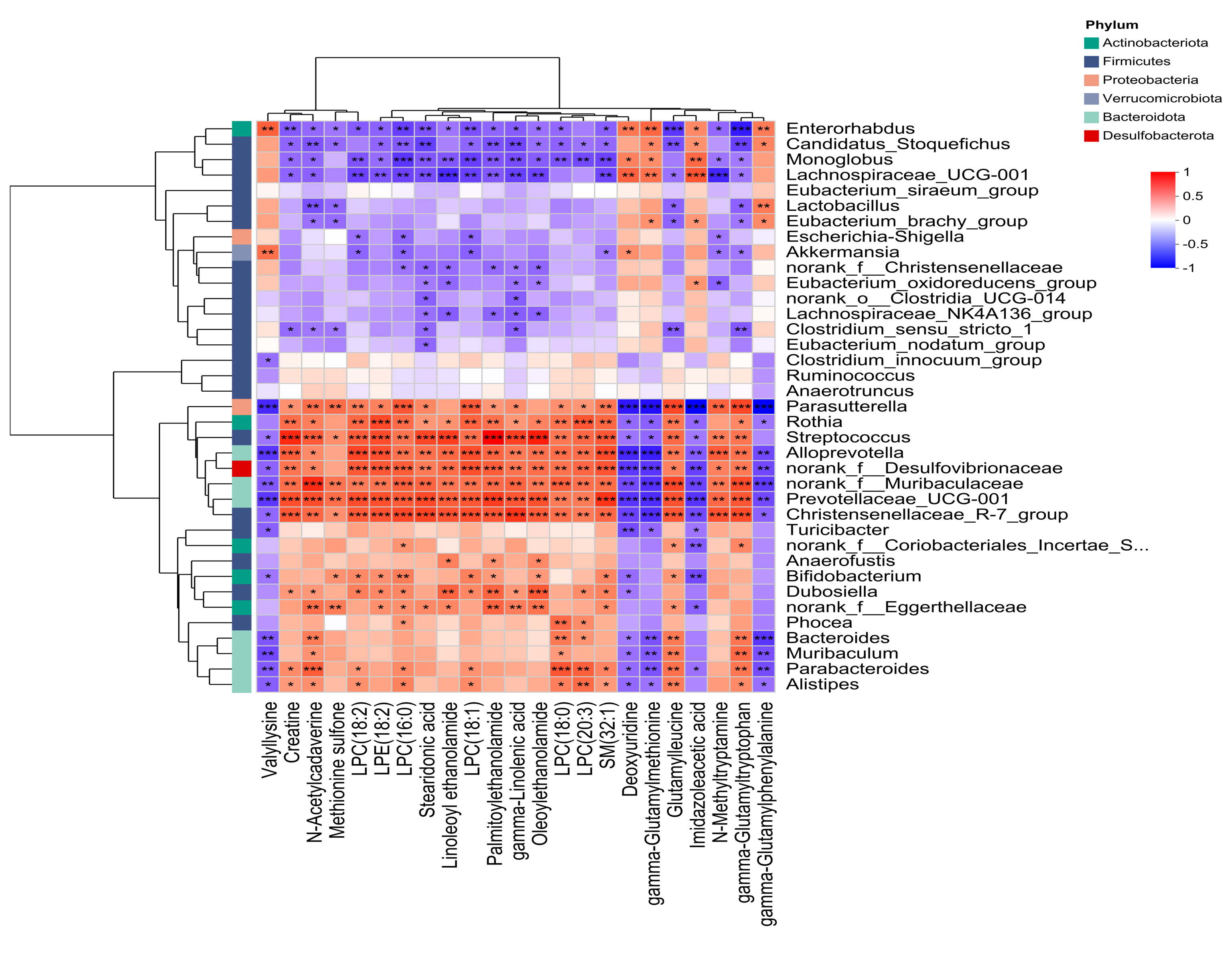 Metabolites 15 00363 g006