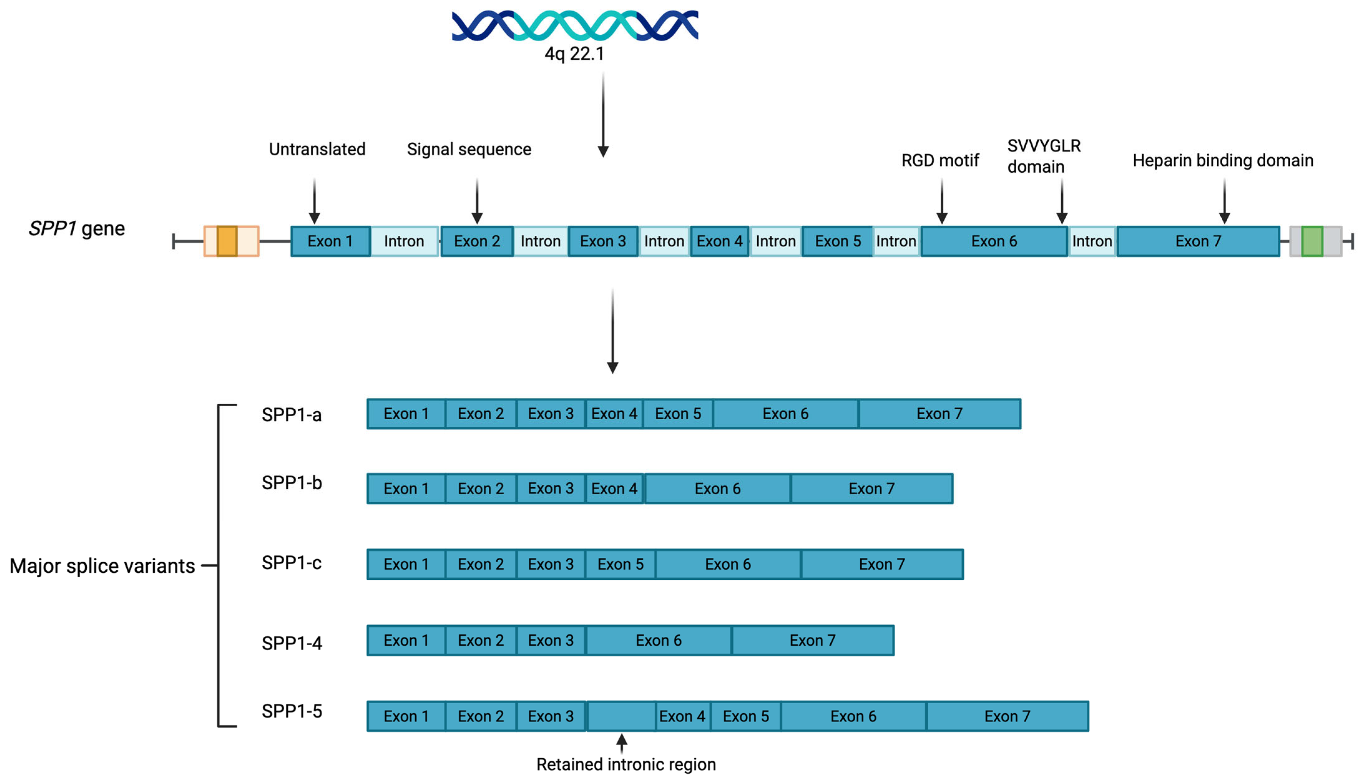 Metabolites 15 00365 g001 Metabolites 15 00365 g001